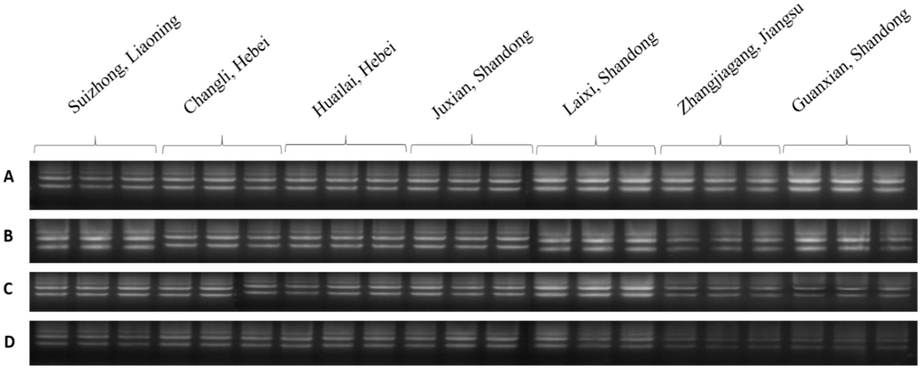 Plants 08 00577 g014