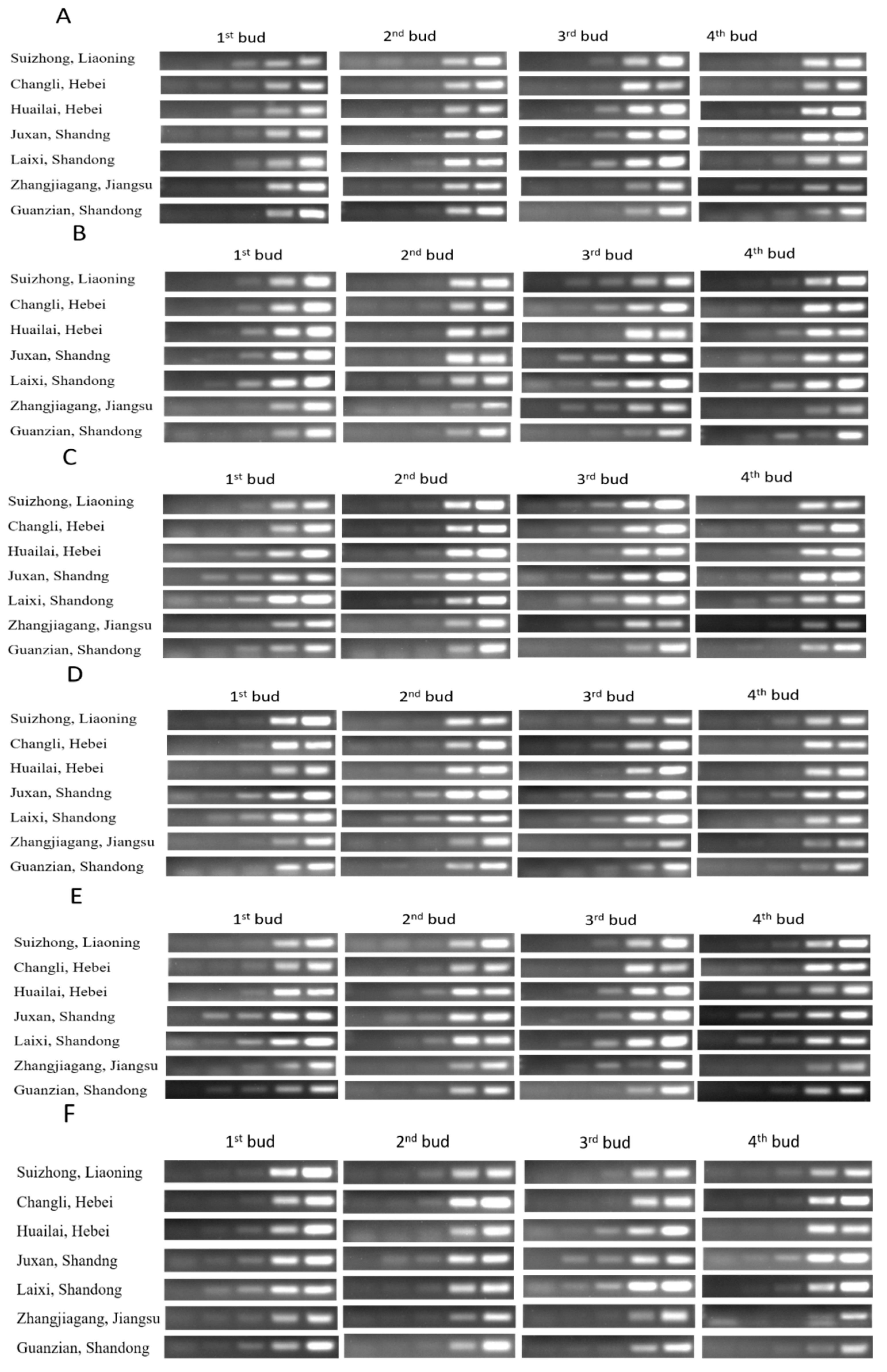 Plants 08 00577 g016