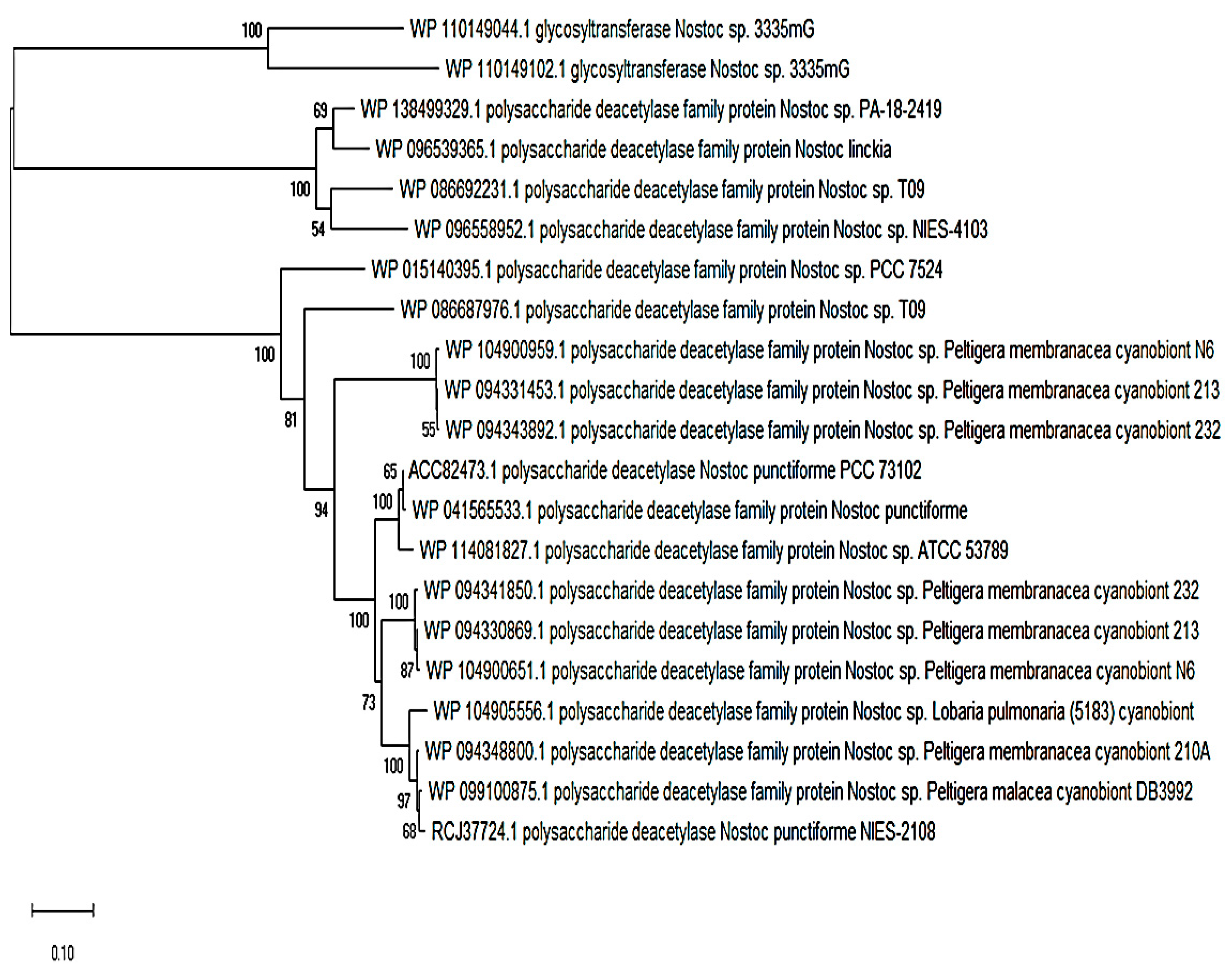 Plants 08 00587 g003