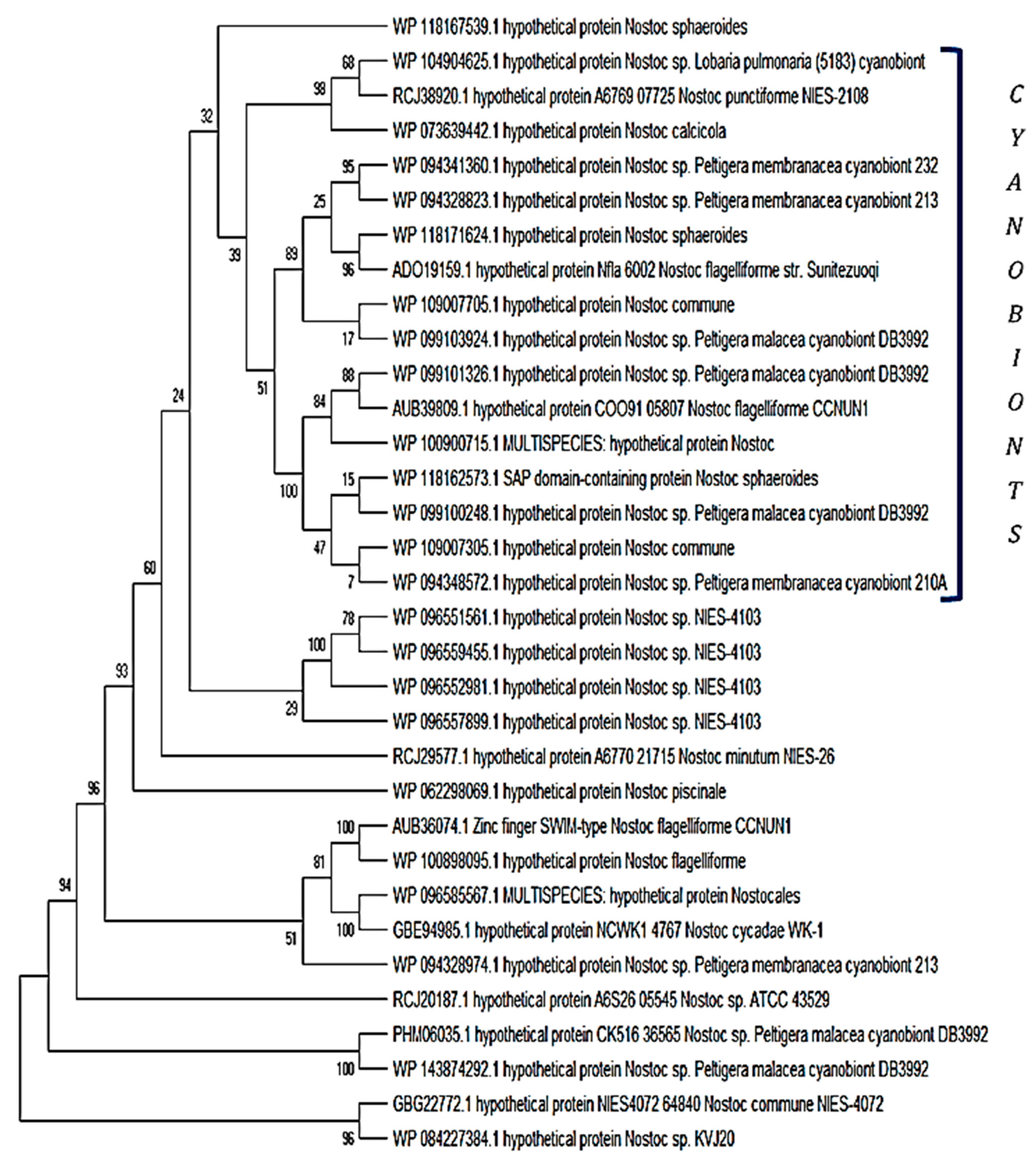 Plants 08 00587 g005