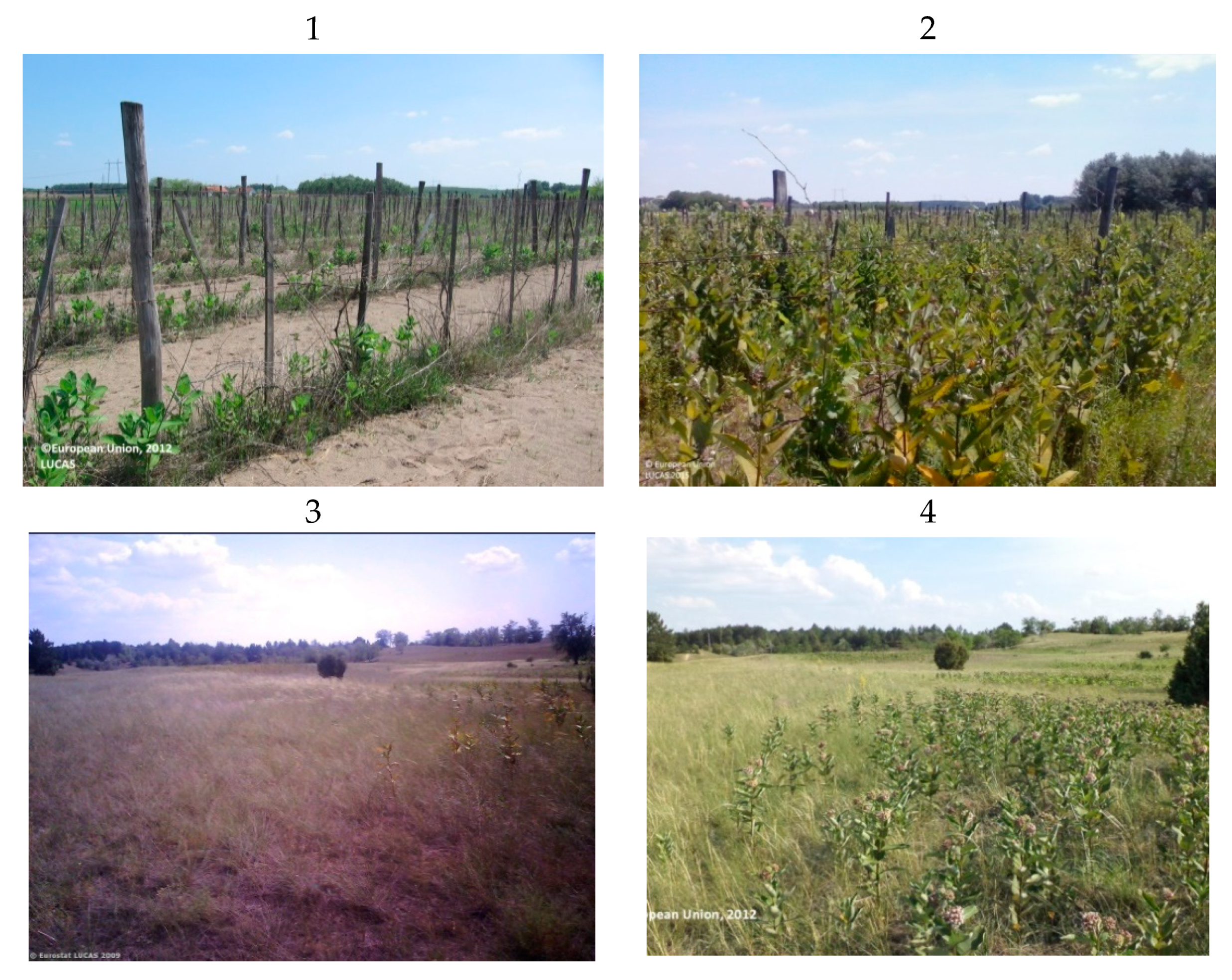 Plants 08 00593 g0a1a Plants 08 00593 g0a1a