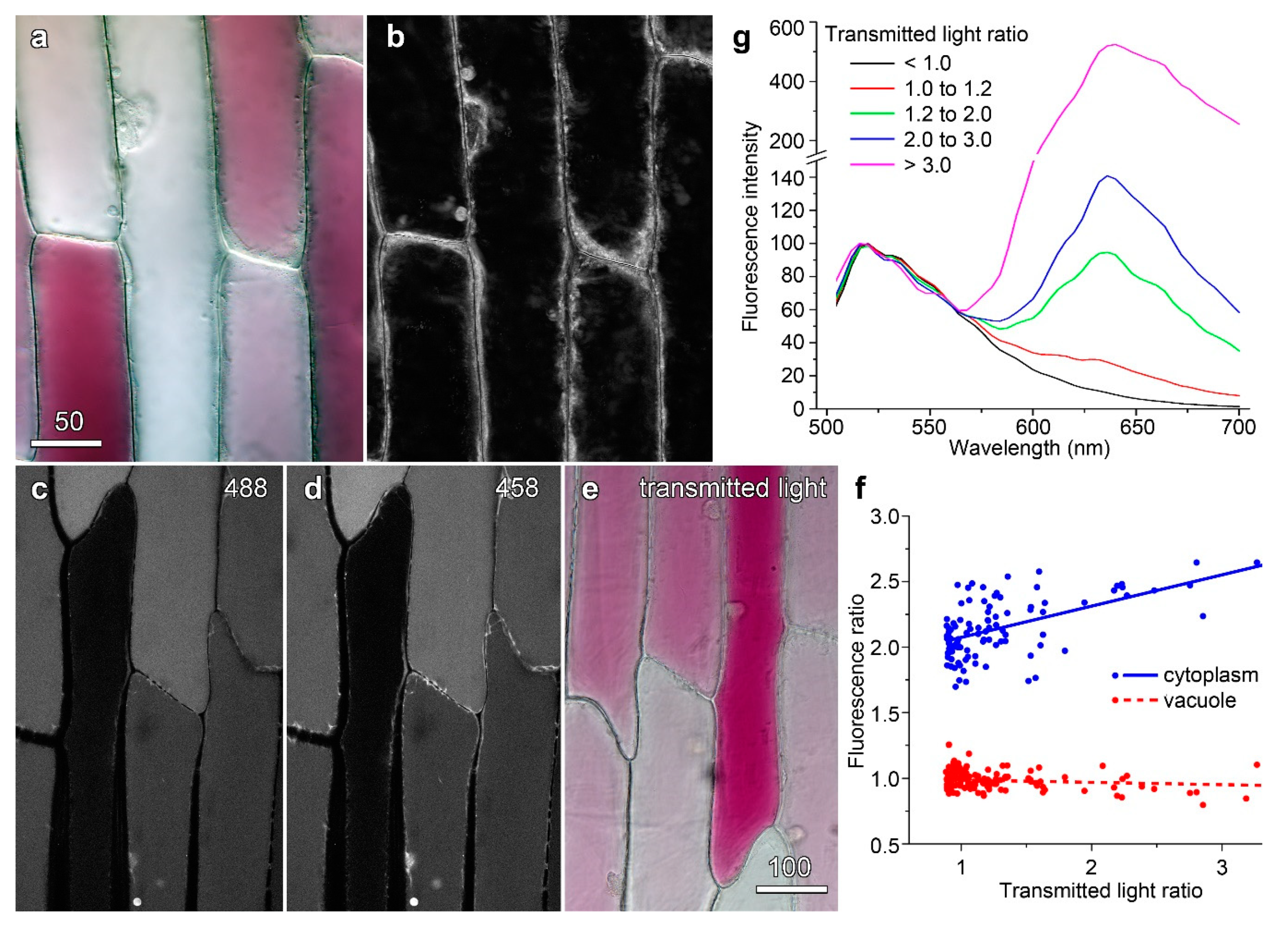Plants 08 00596 g004