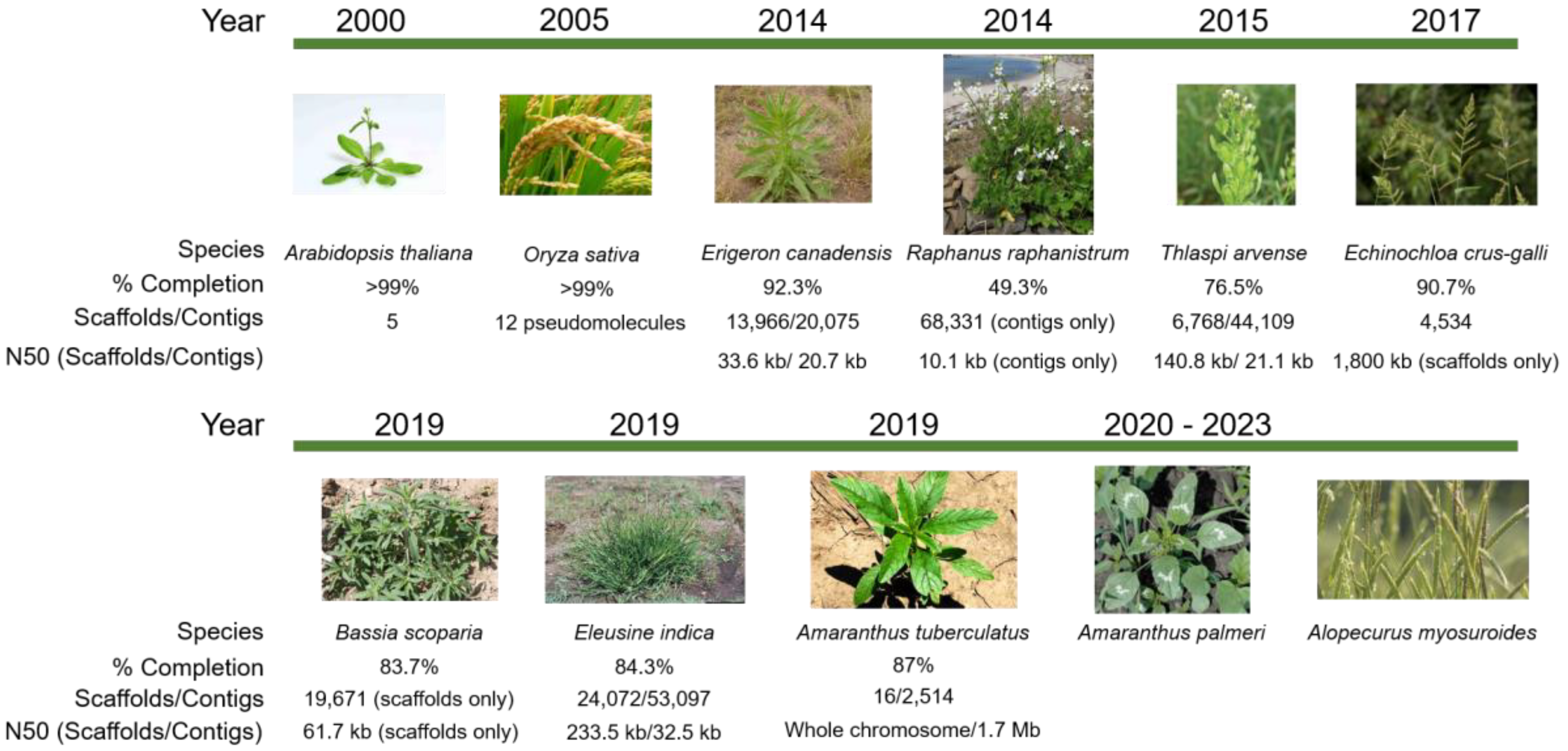 Plants 08 00607 g001