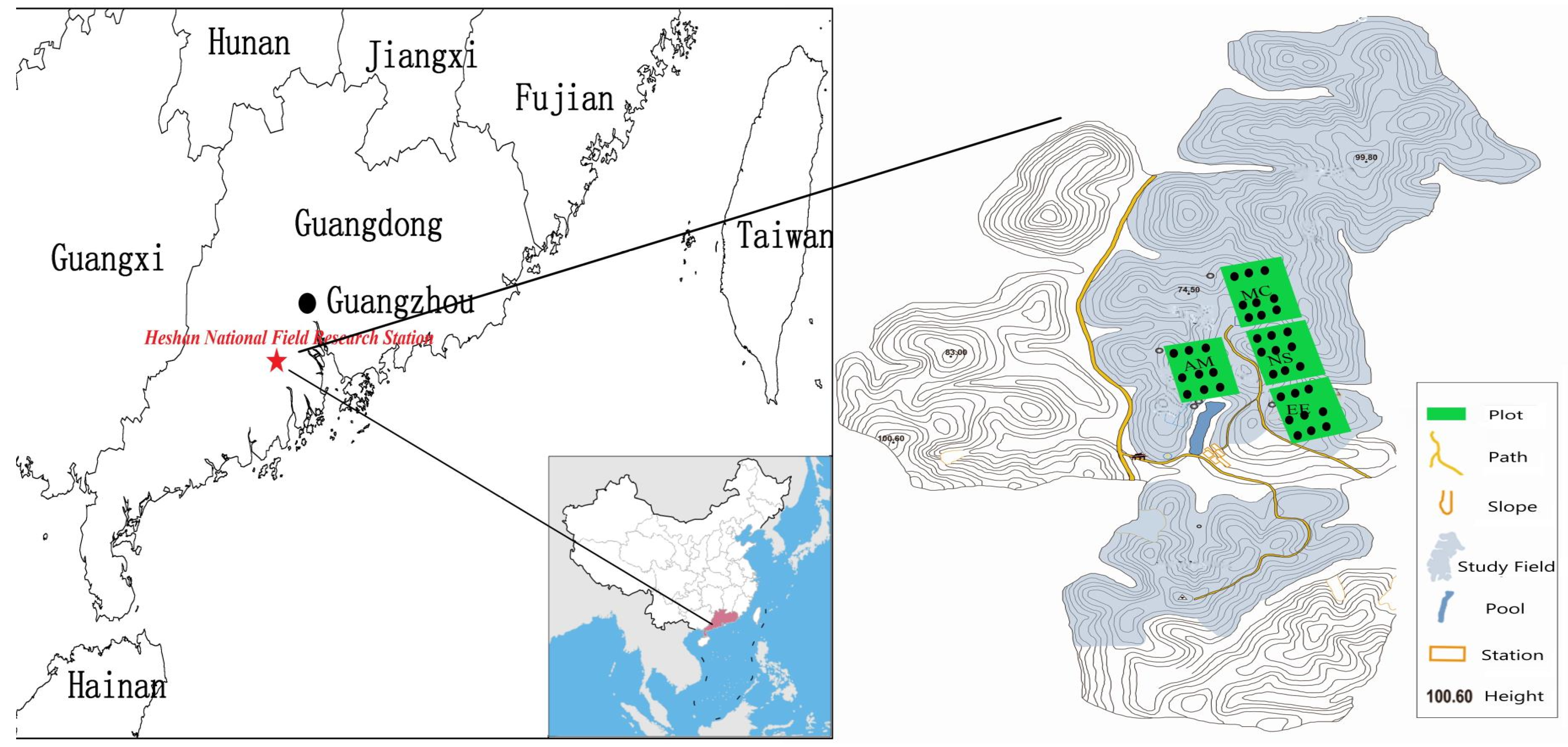 Plants 08 00612 g0a3 Plants 08 00612 g0a3