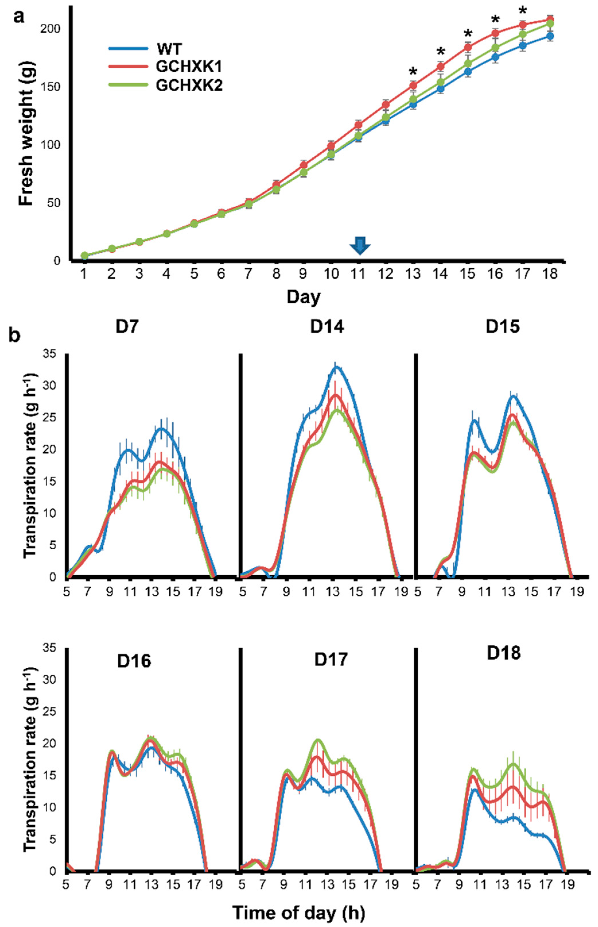 Plants 08 00613 g002