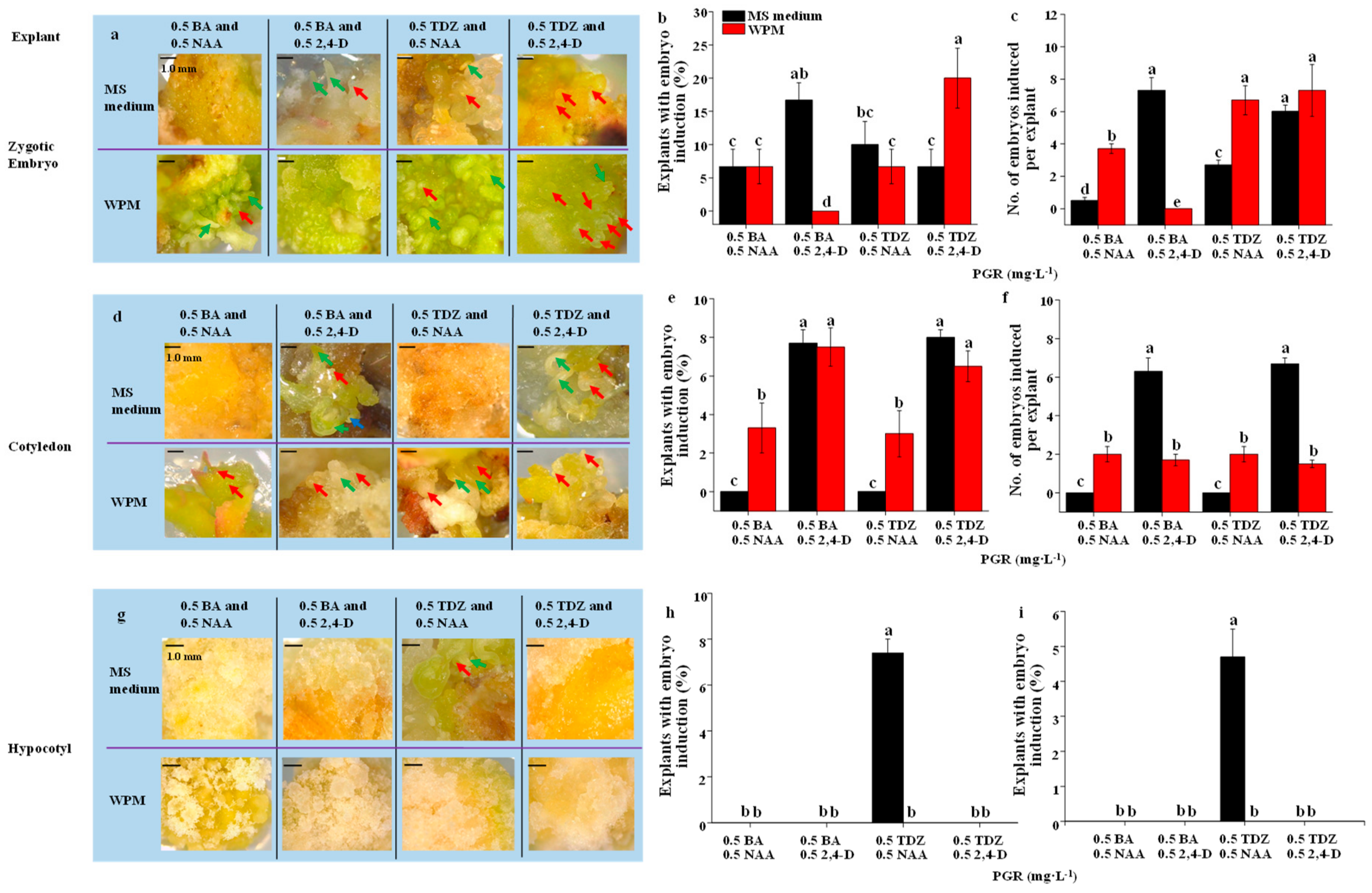 Plants 09 00003 g001 Plants 09 00003 g001