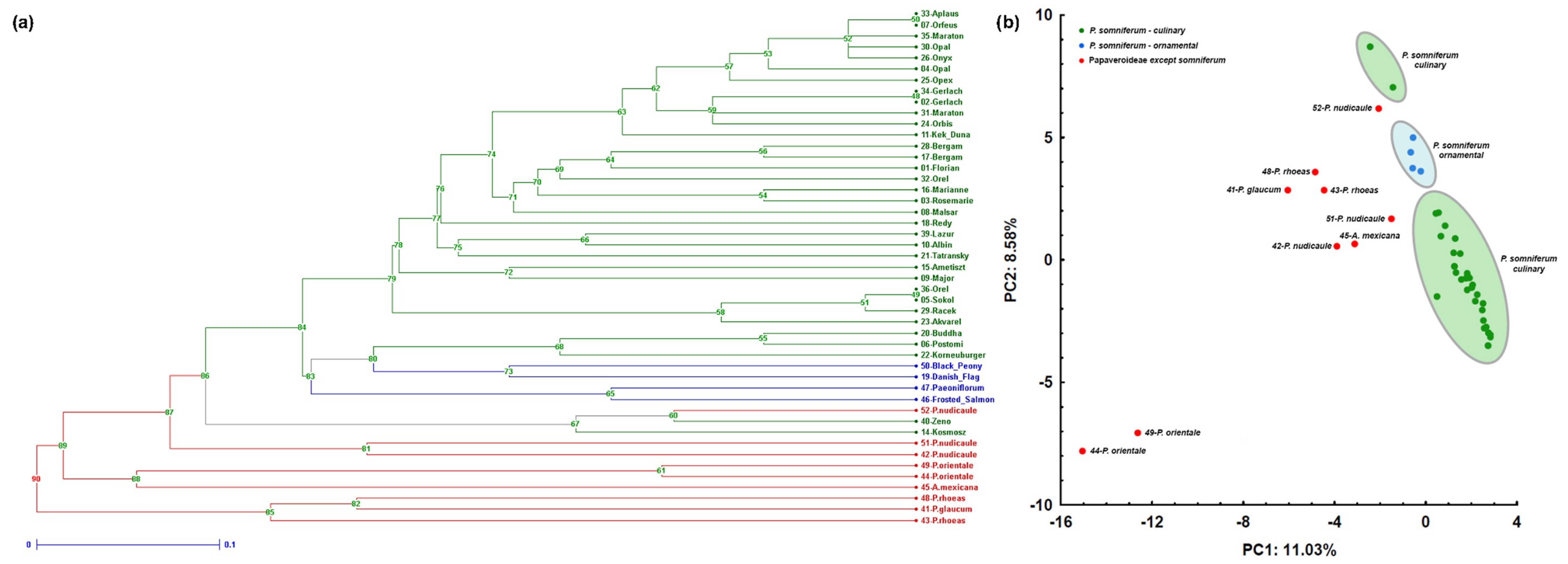 Plants 09 00010 g001 Plants 09 00010 g001