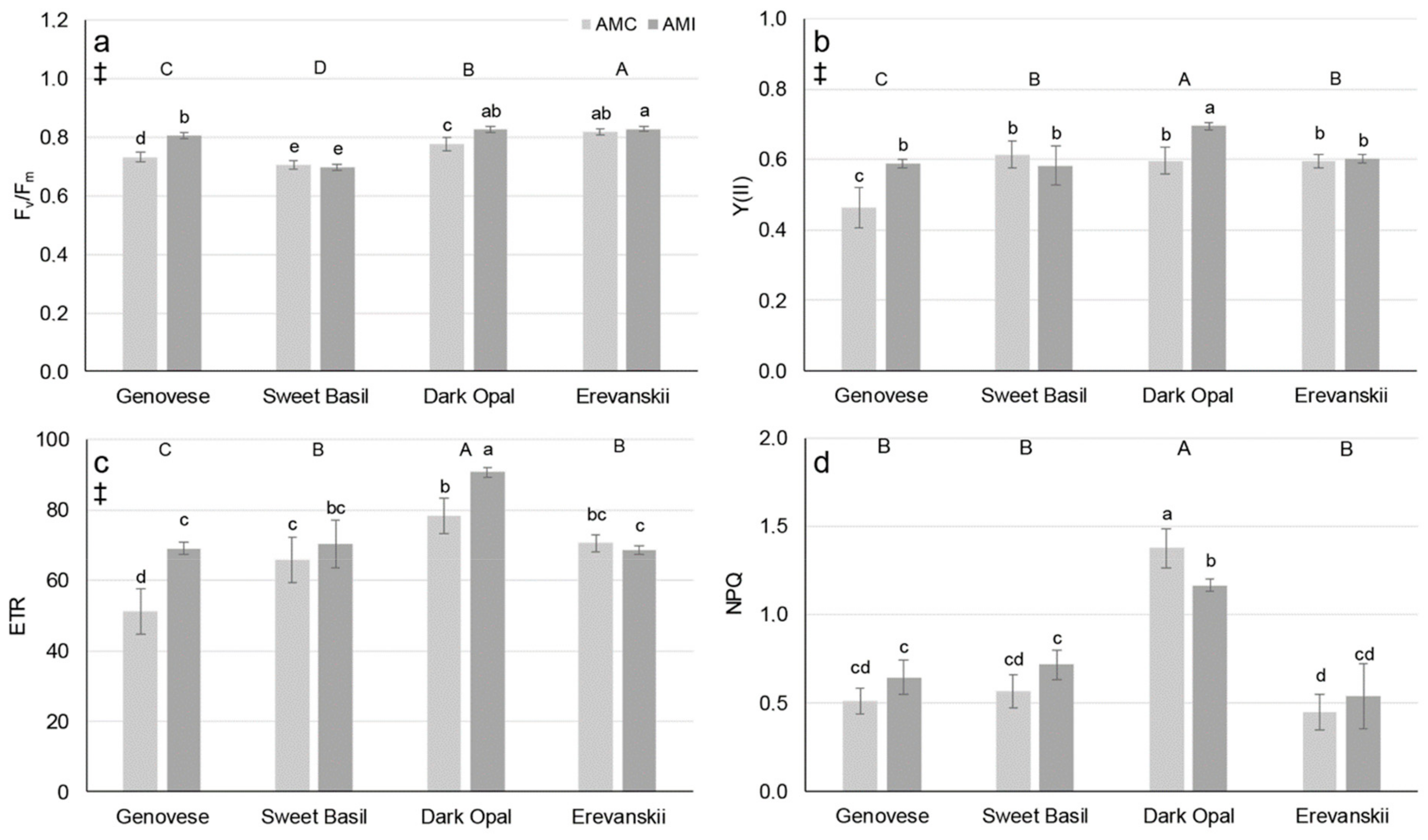 Plants 09 00014 g001