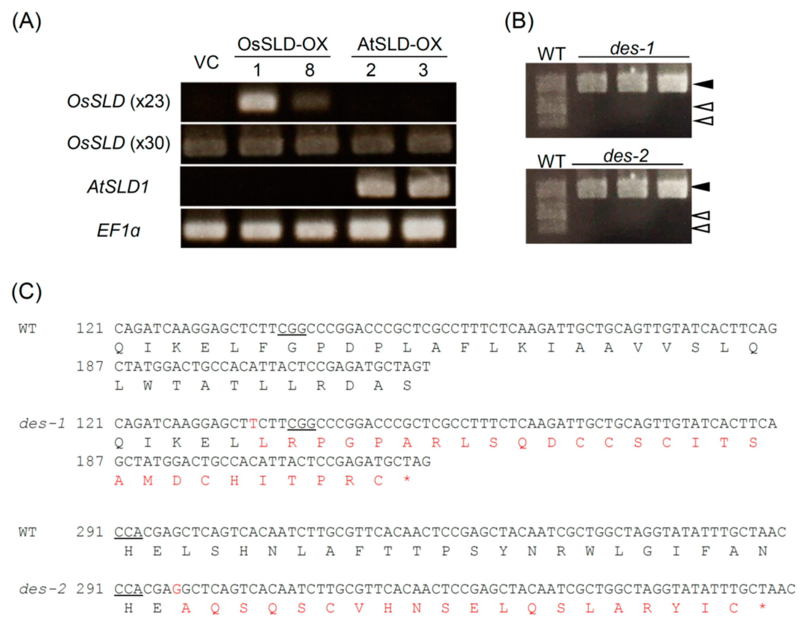 Plants 09 00019 g002 Plants 09 00019 g002