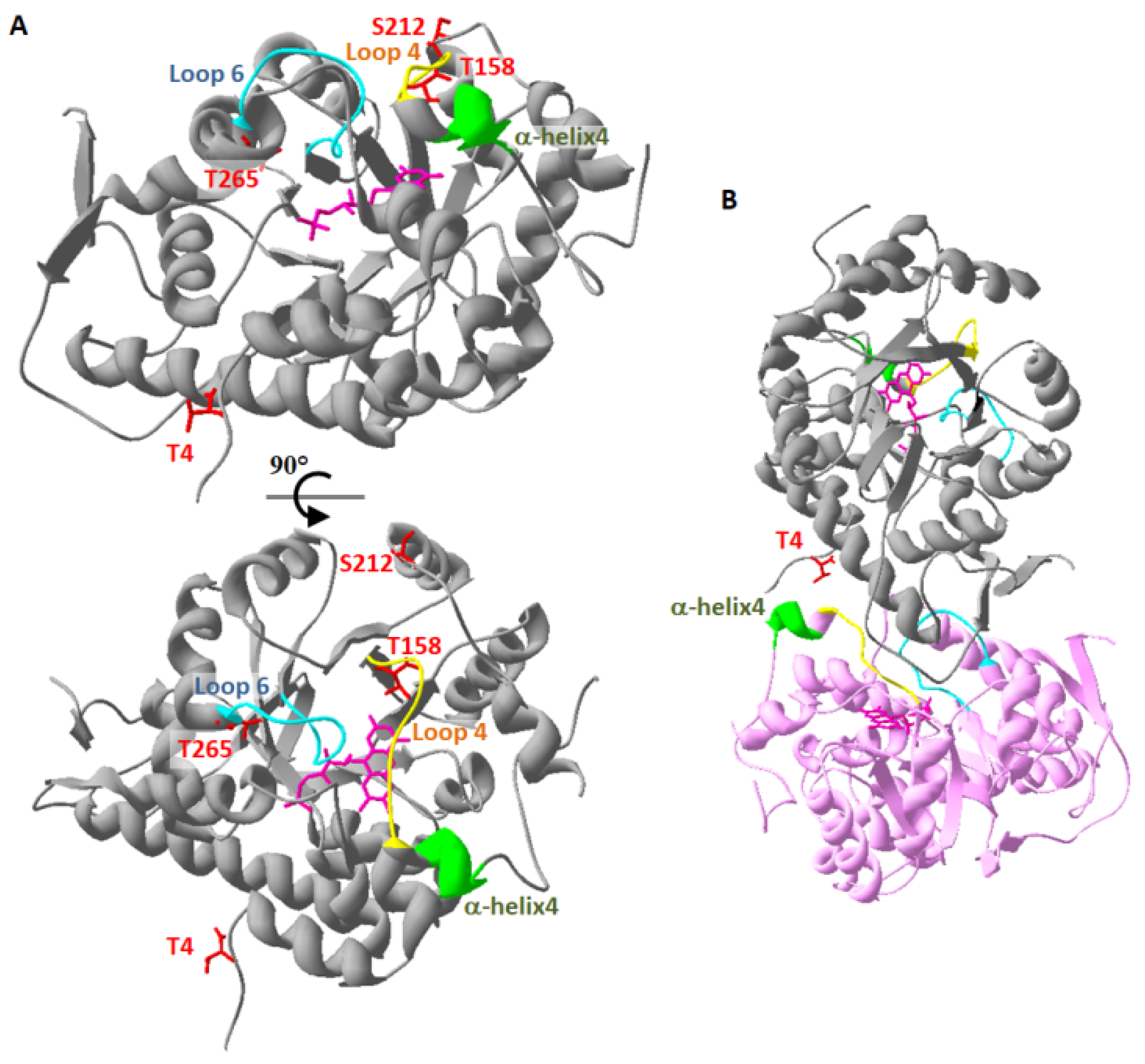 Plants 09 00027 g002 Plants 09 00027 g002