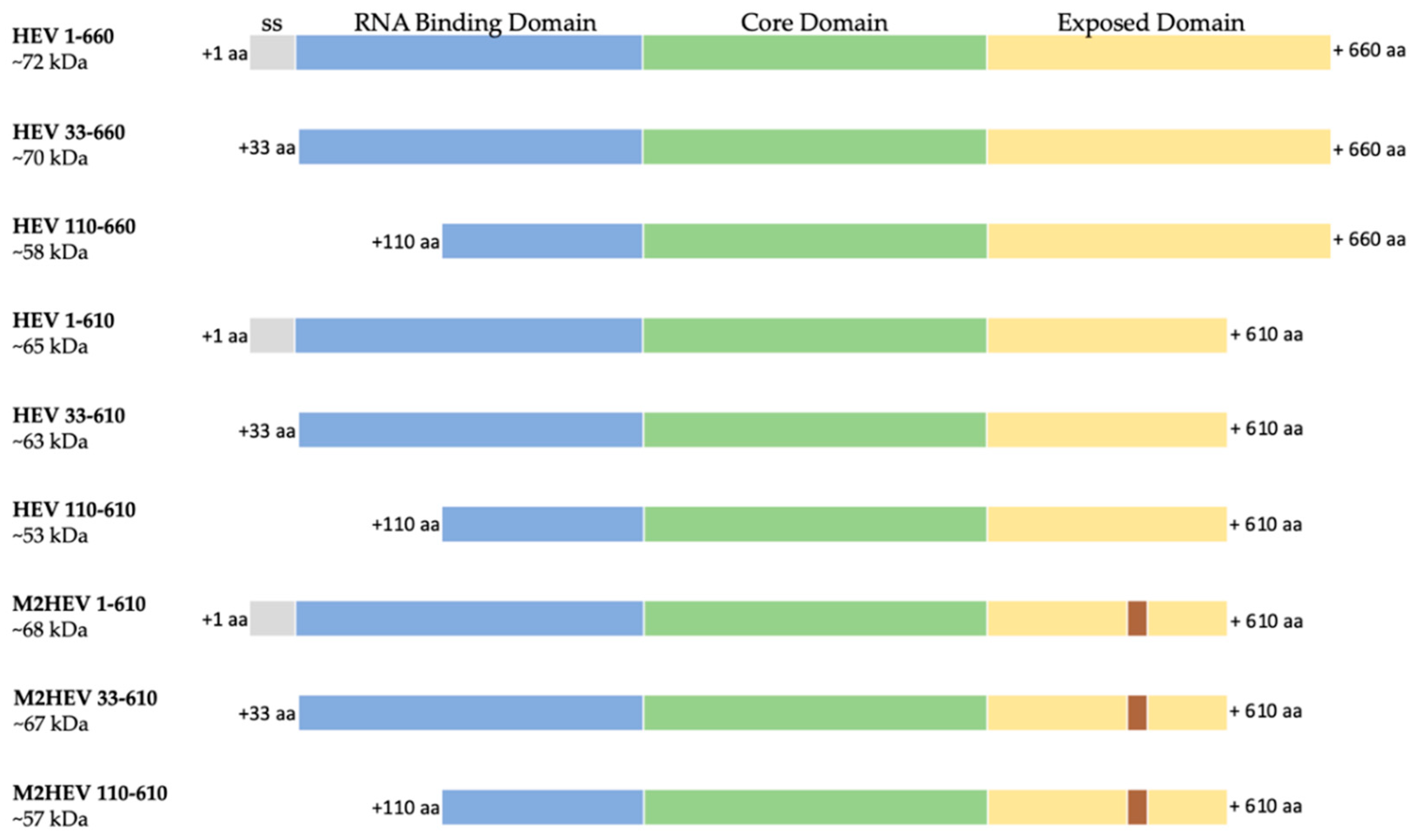 Plants 09 00029 g001 Plants 09 00029 g001