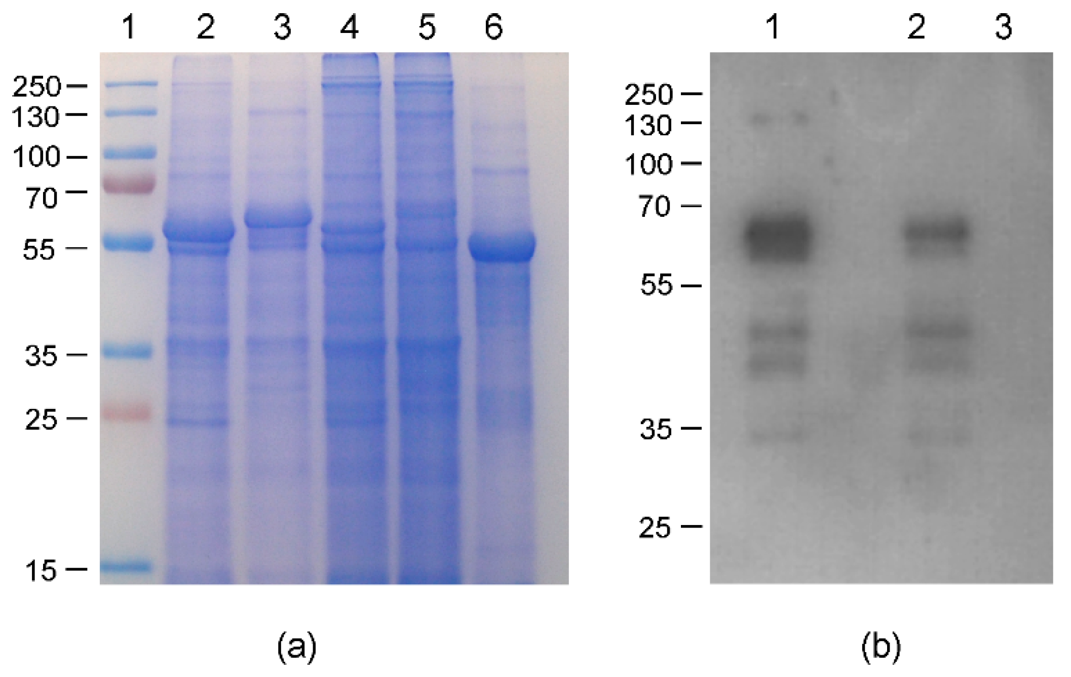 Plants 09 00029 g008 Plants 09 00029 g008