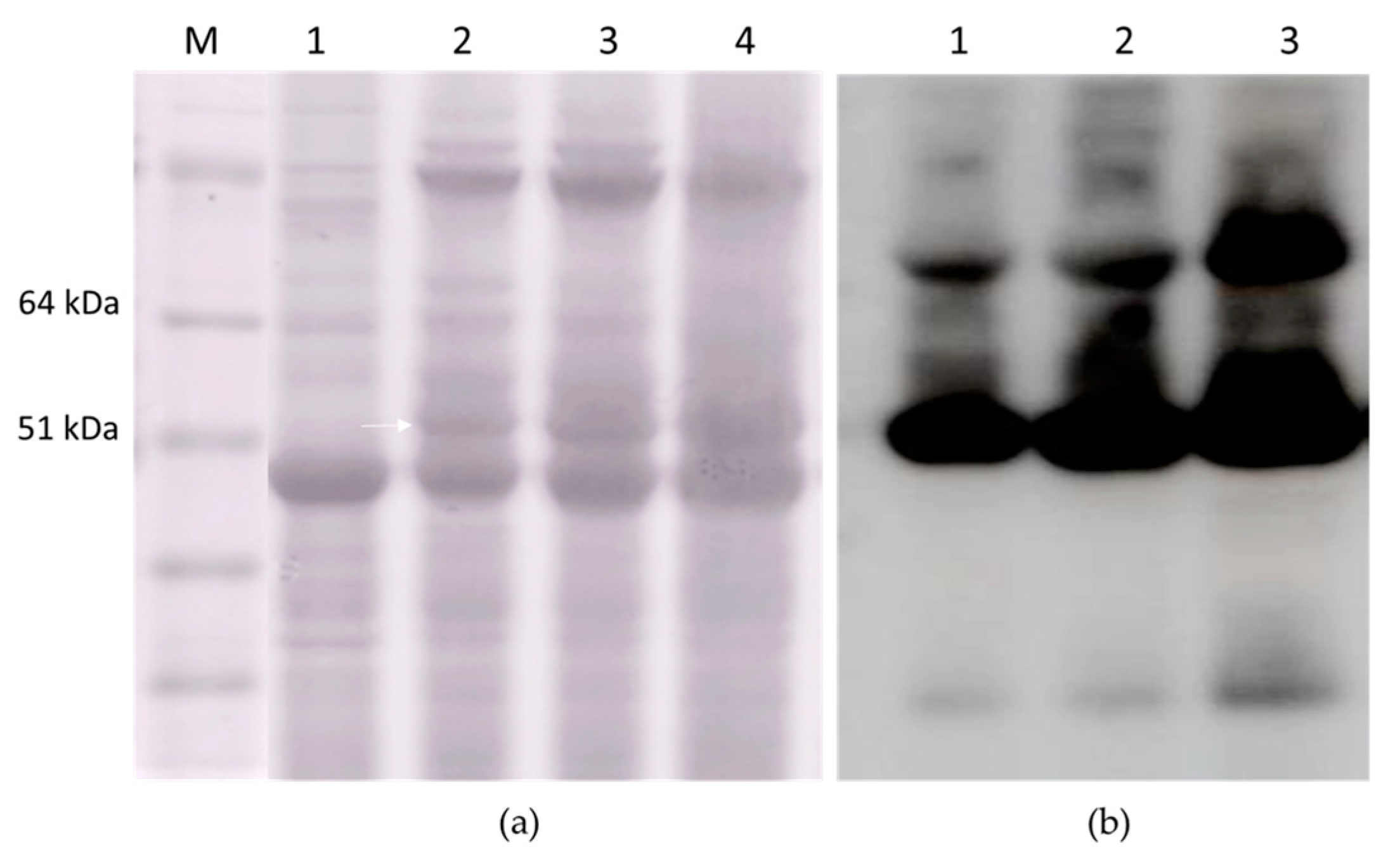 Plants 09 00029 g009 Plants 09 00029 g009