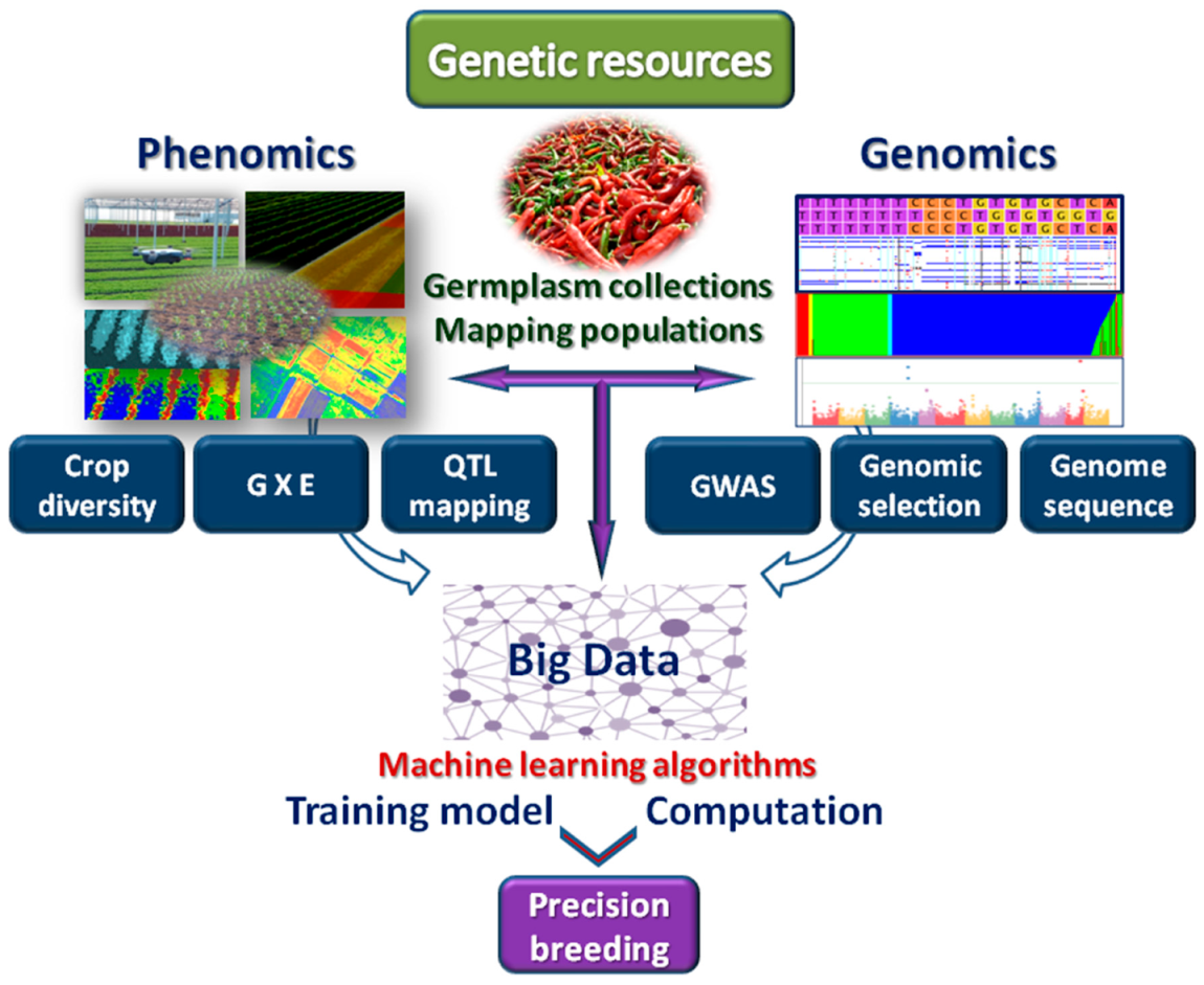 Plants 09 00034 g002
