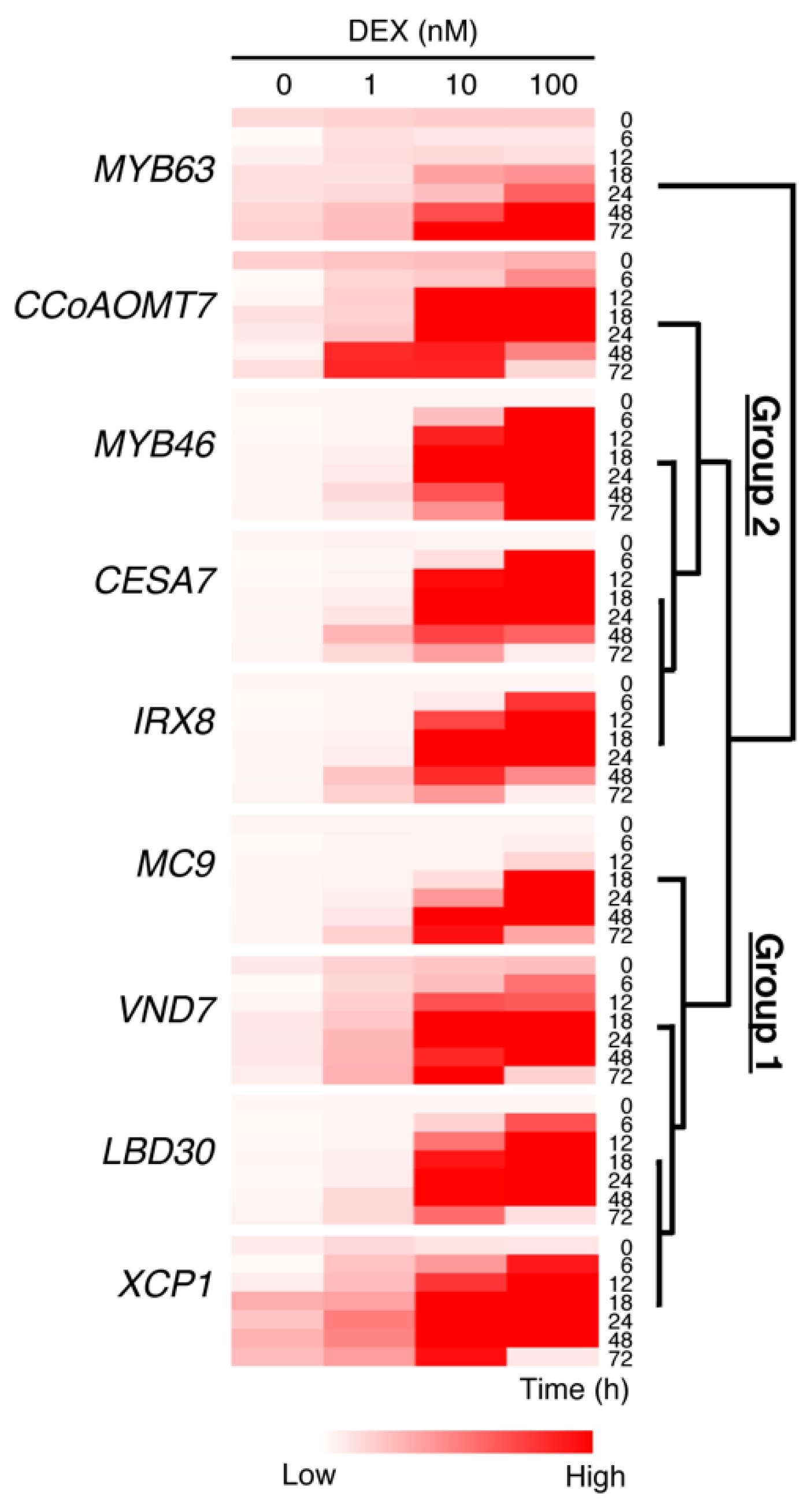 Plants 09 00039 g004 Plants 09 00039 g004