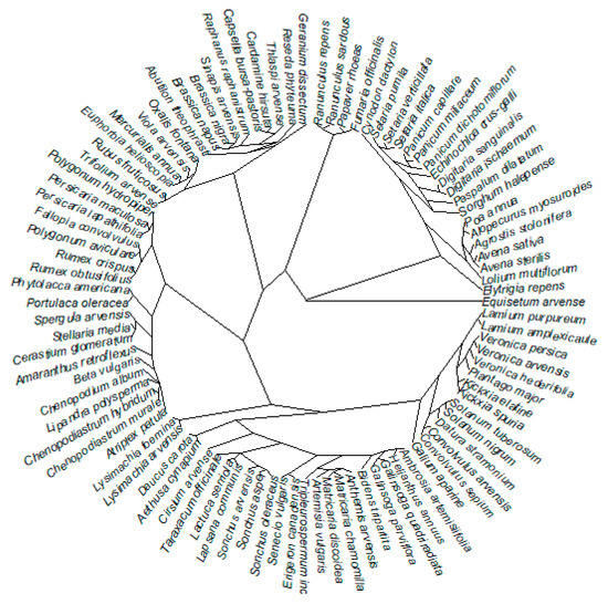 Plants 09 00040 g0a1