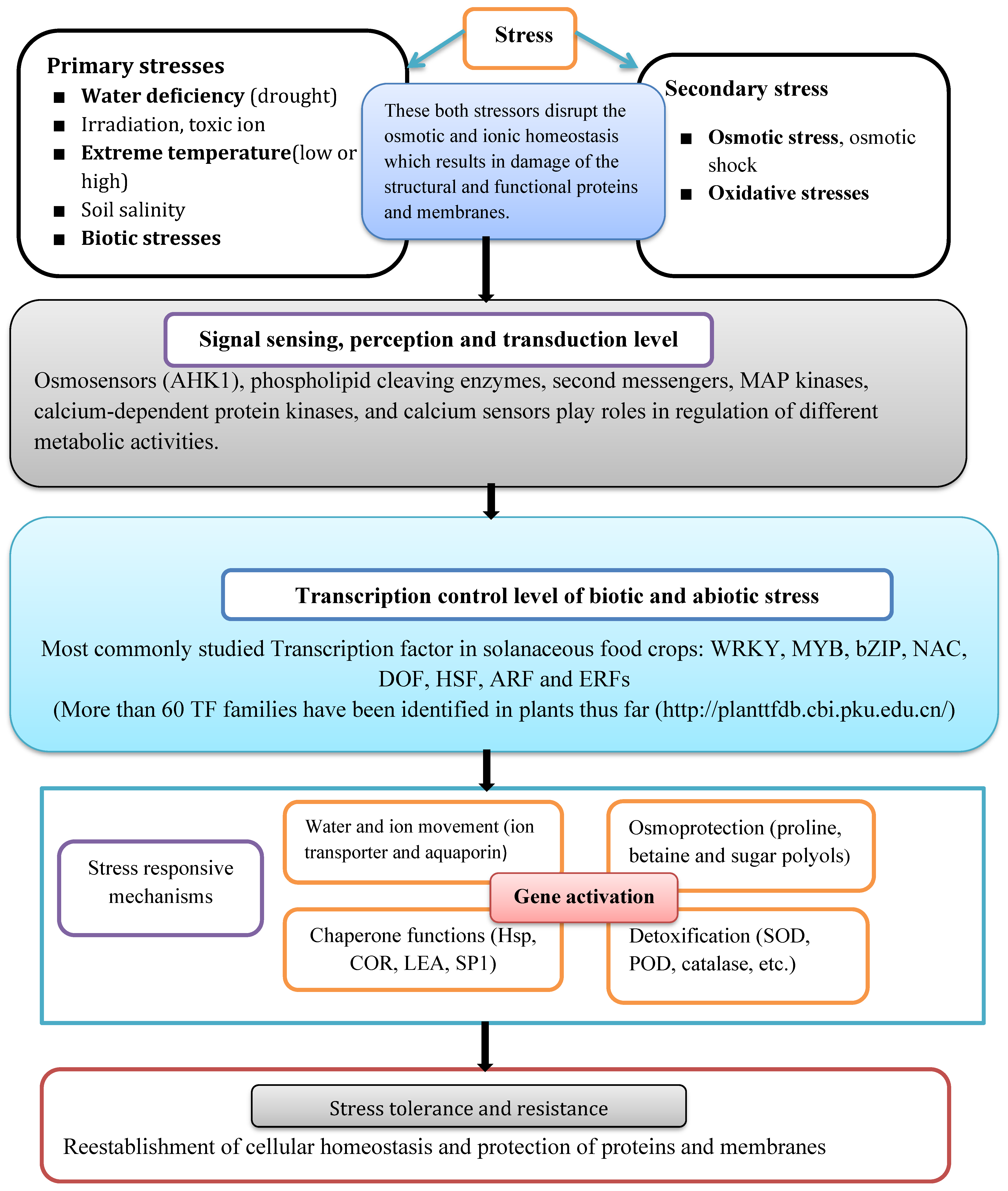 Plants 09 00056 g001
