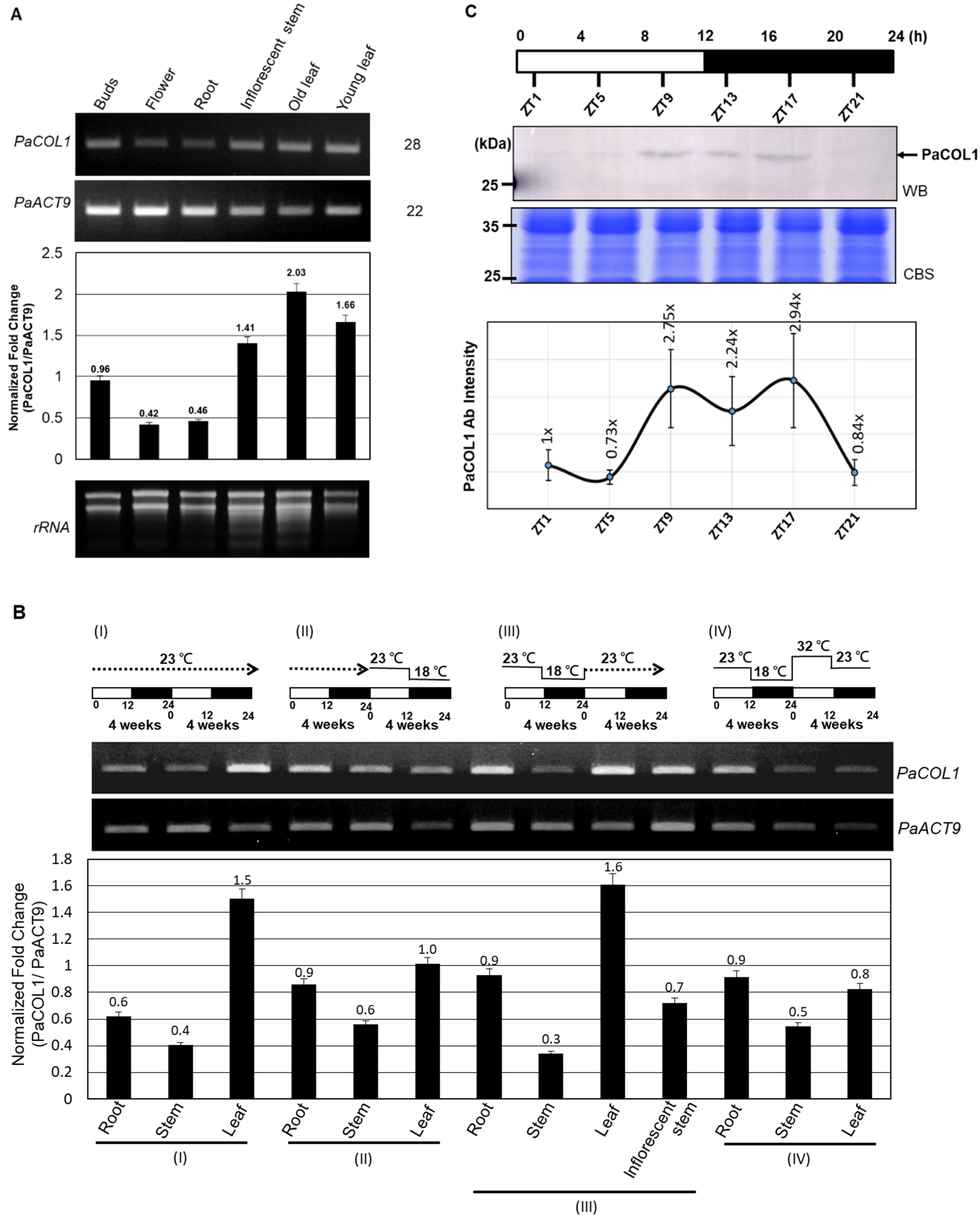 Plants 09 00068 g003