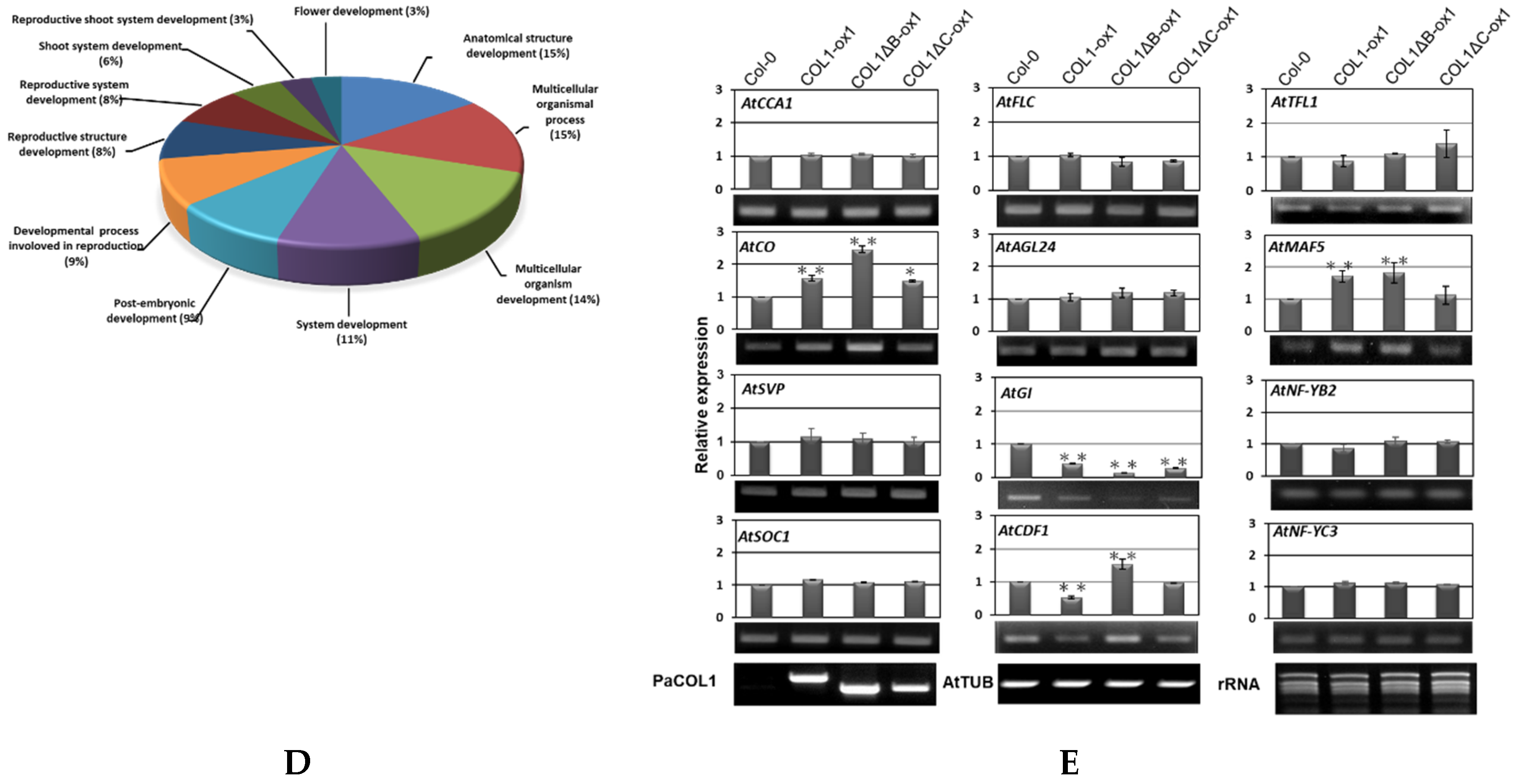 Plants 09 00068 g004b