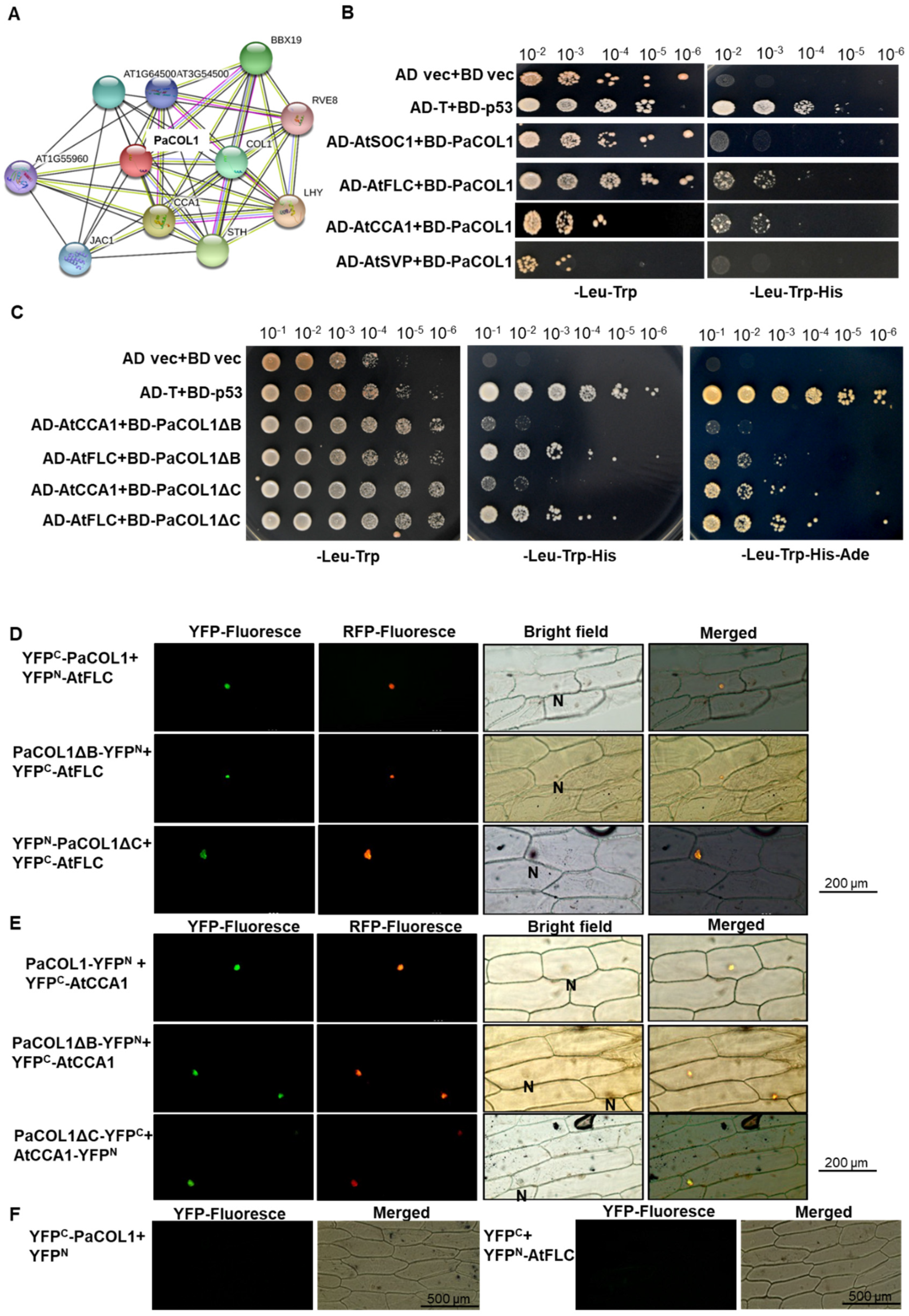 Plants 09 00068 g005
