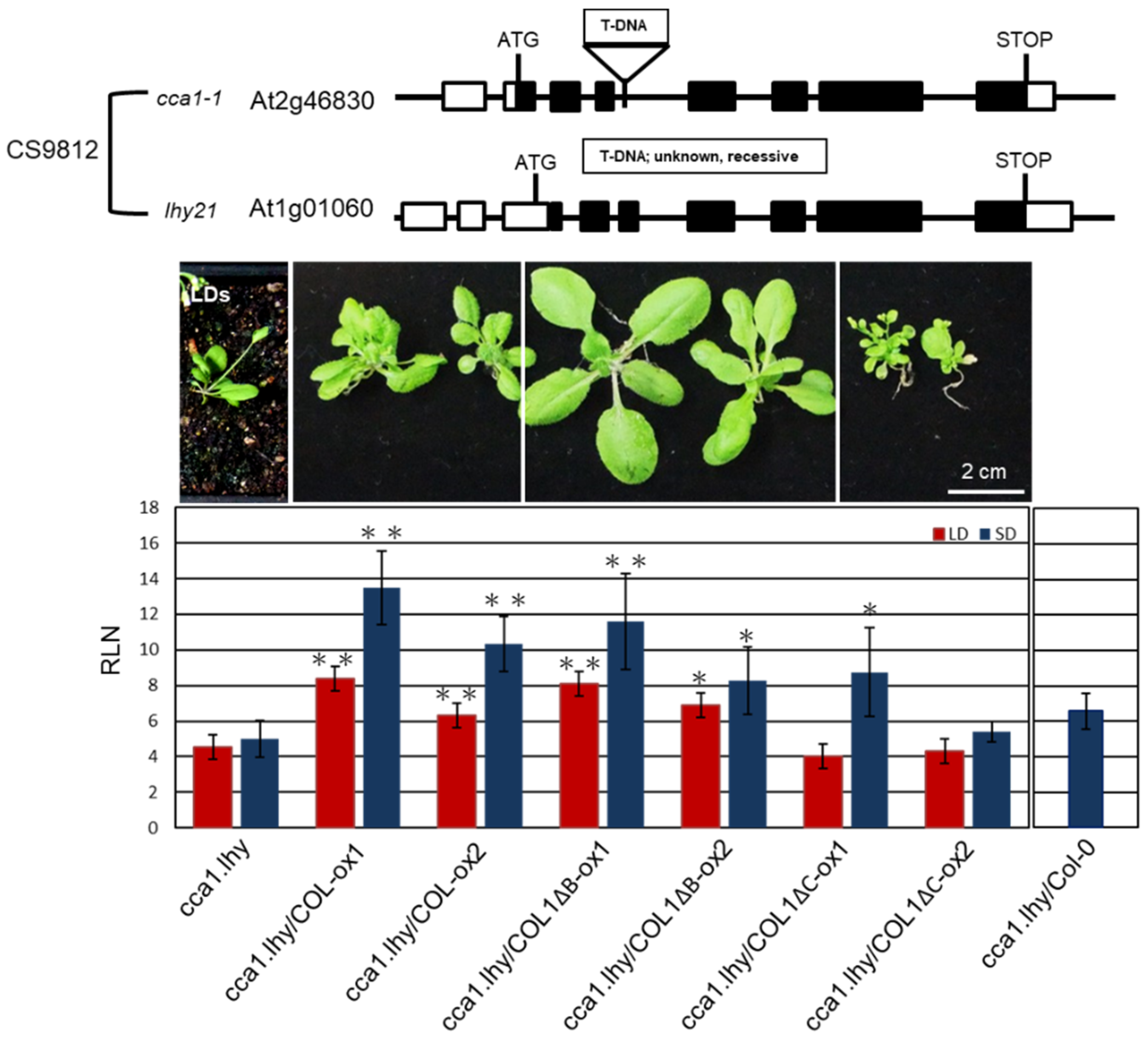 Plants 09 00068 g006
