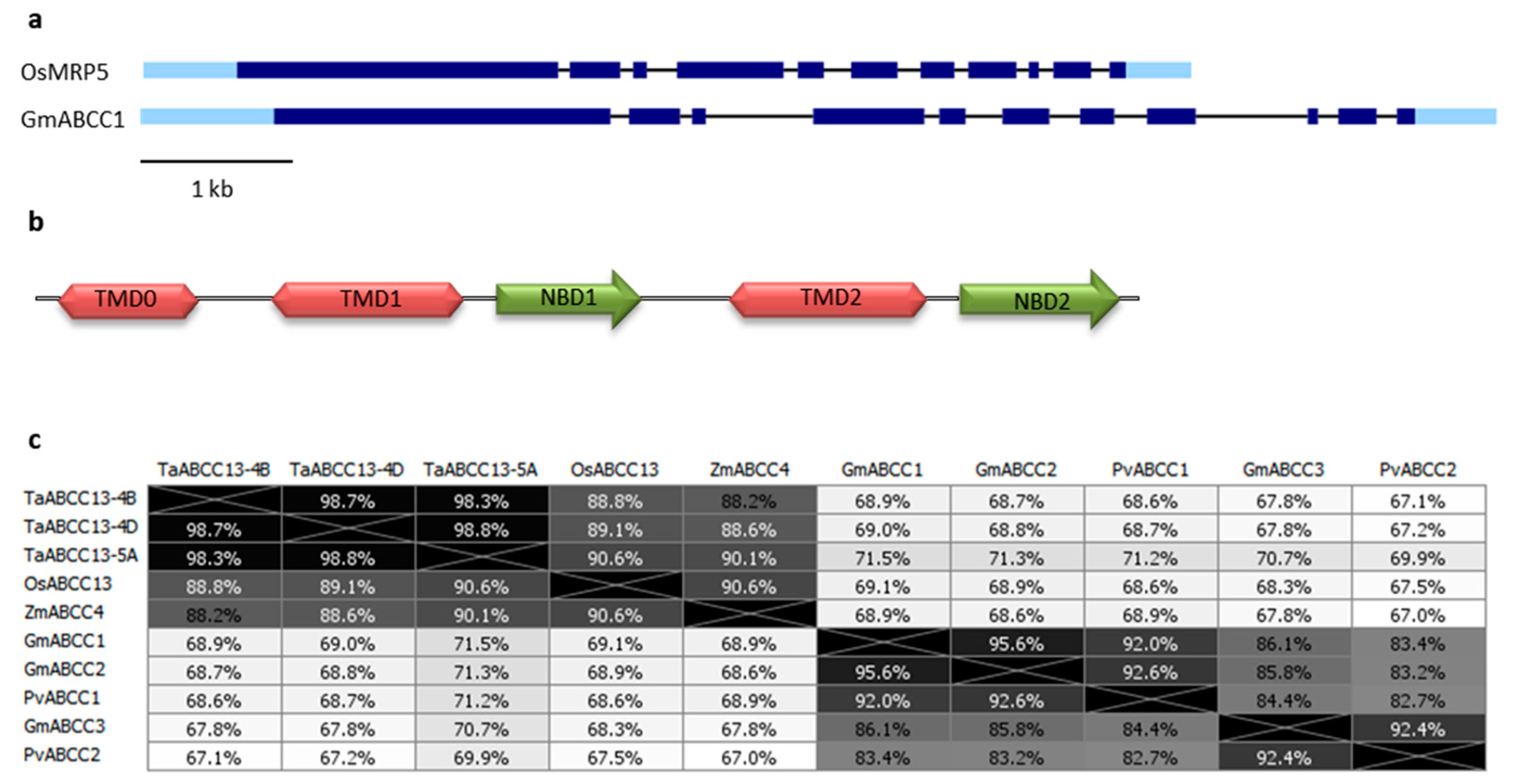 Plants 09 00069 g001