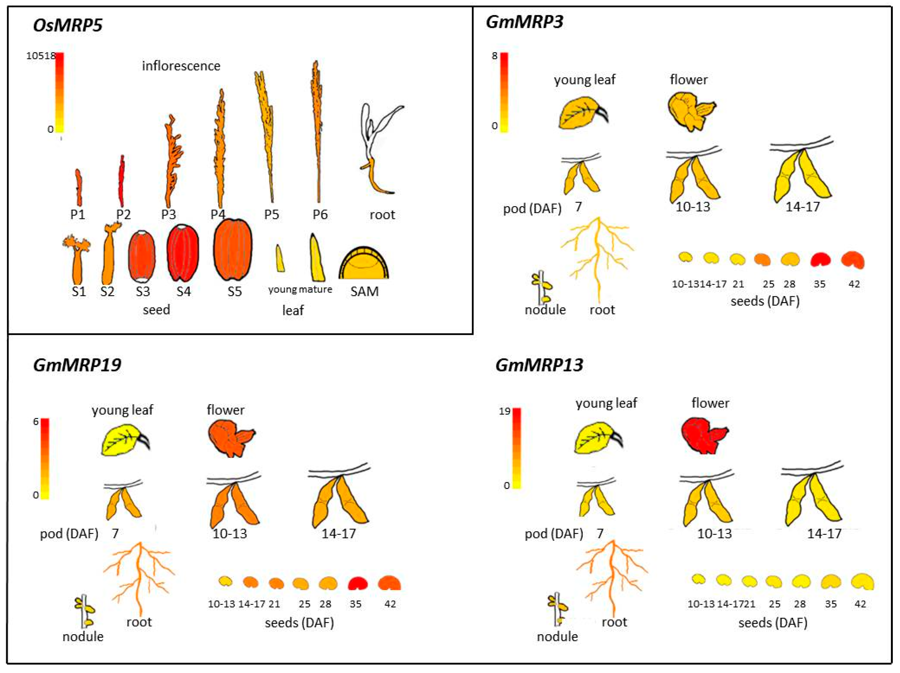 Plants 09 00069 g002