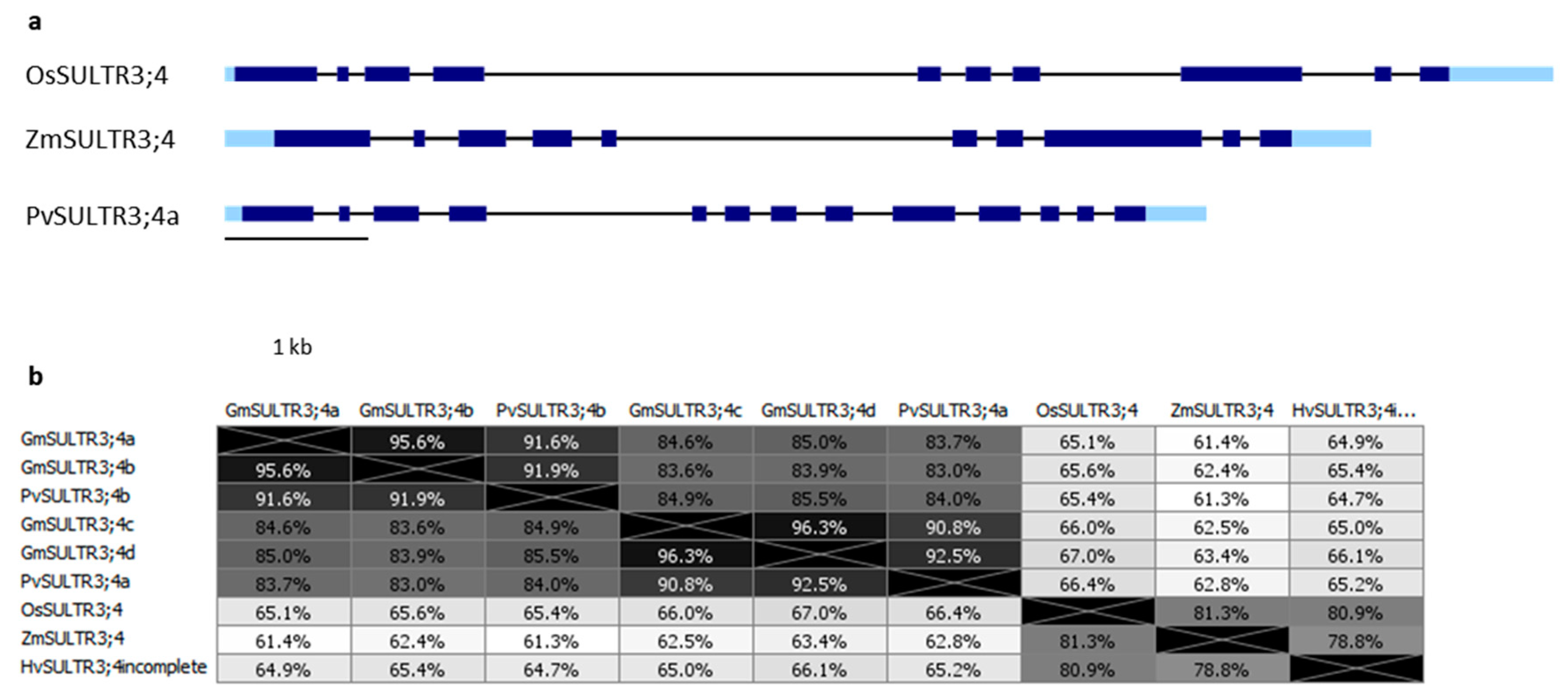 Plants 09 00069 g004