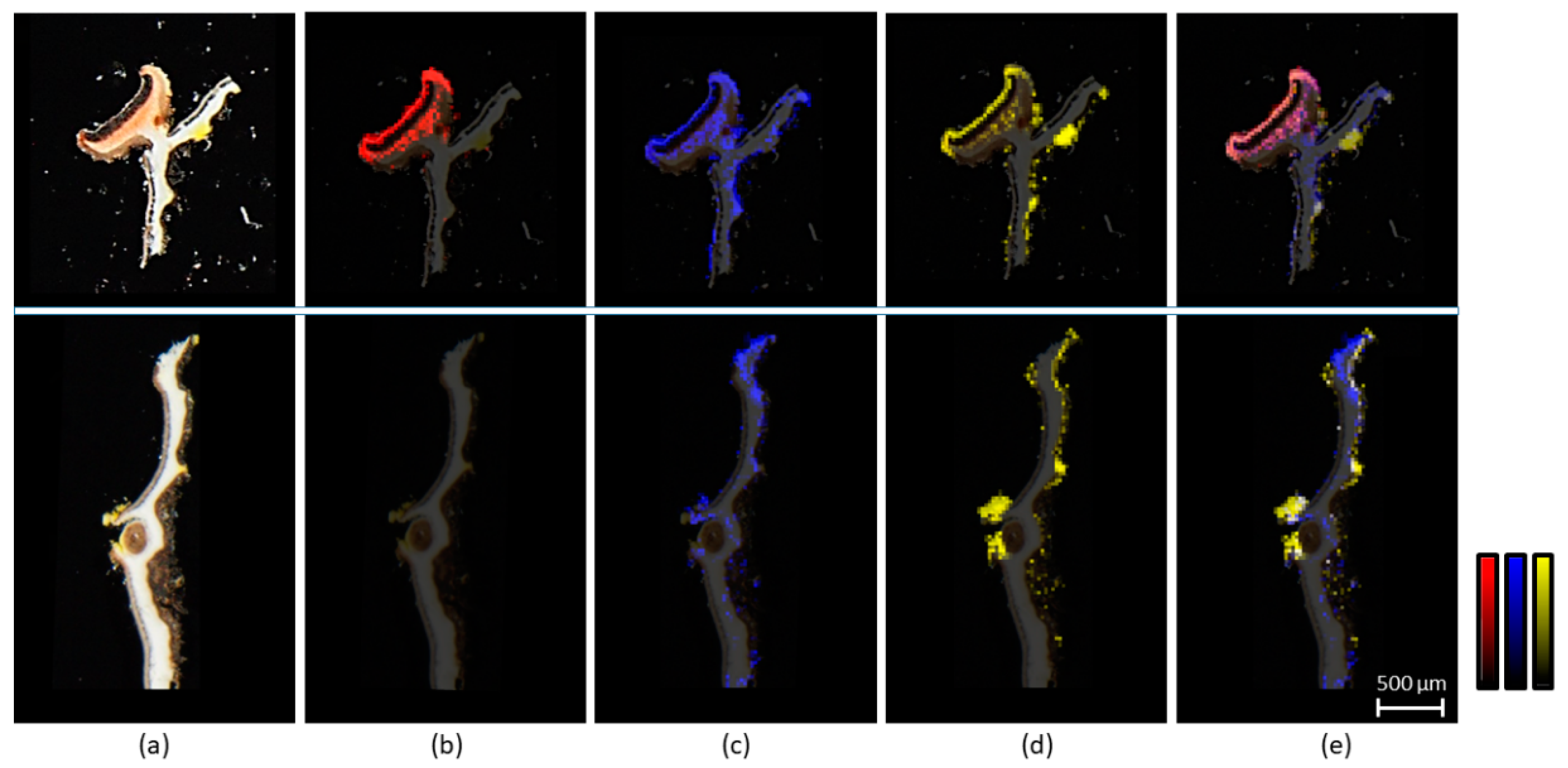 Plants 09 00070 g004