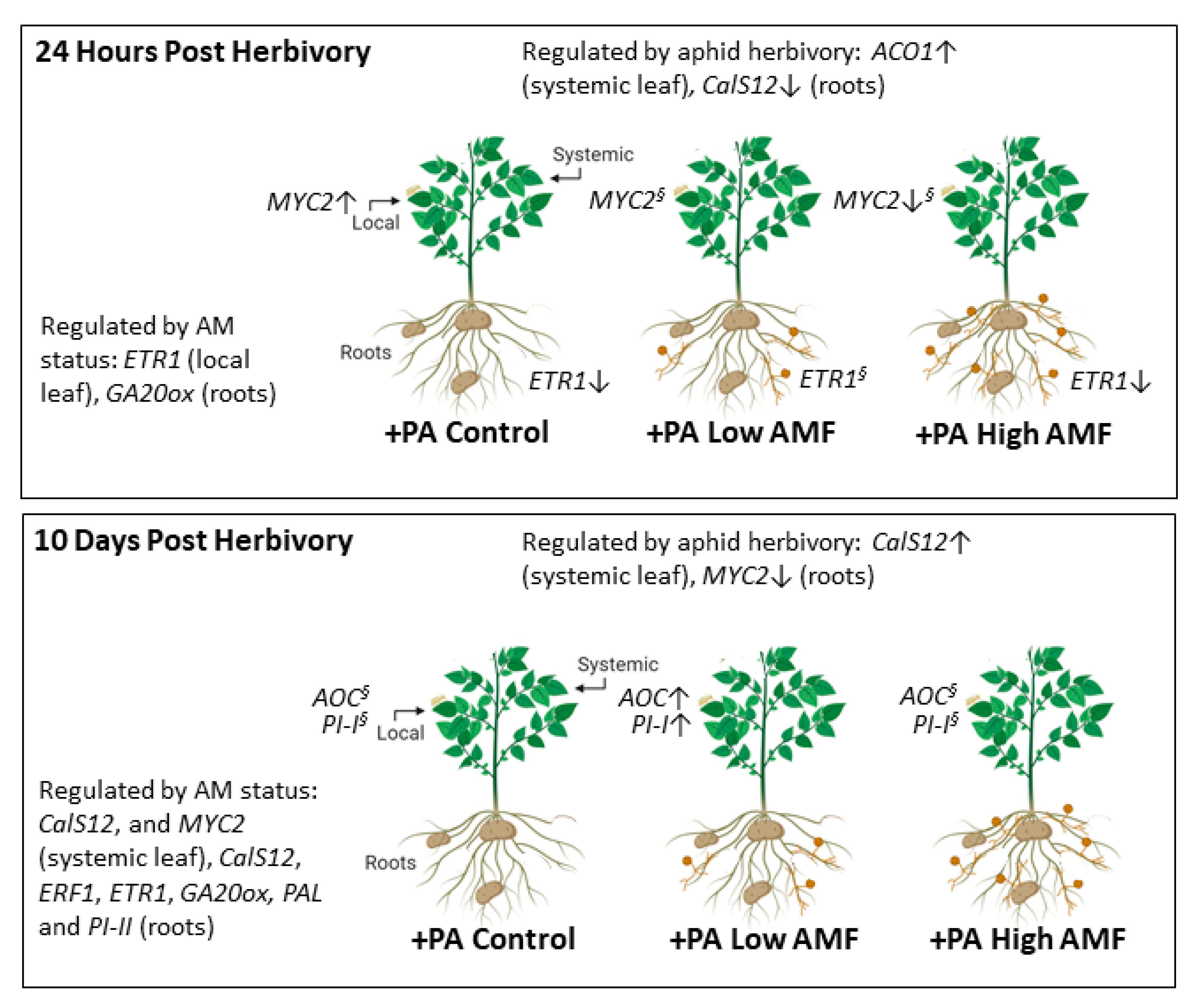 Plants 09 00082 g008