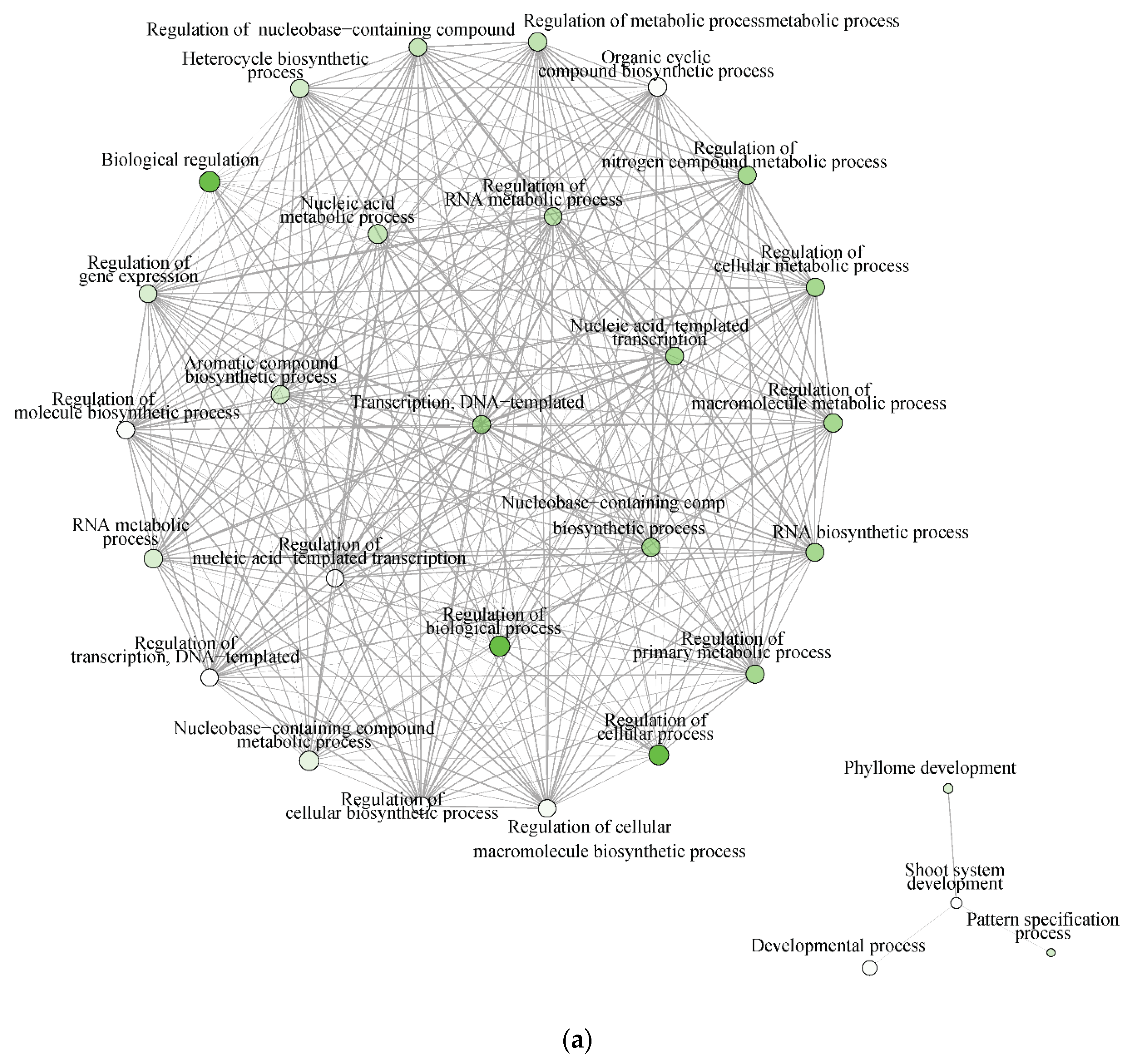 Plants 09 00086 g007a