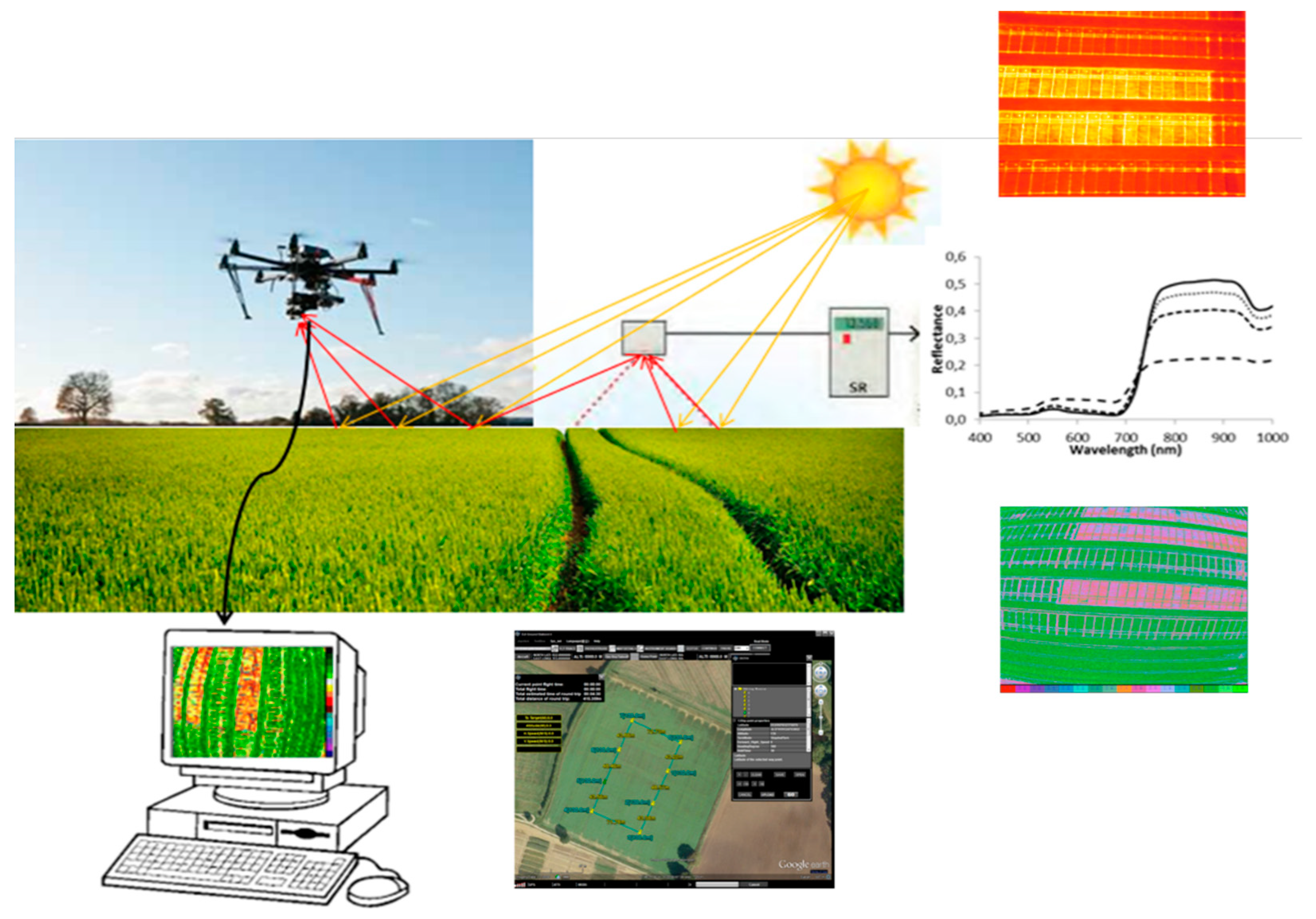 Plants 09 00088 g003