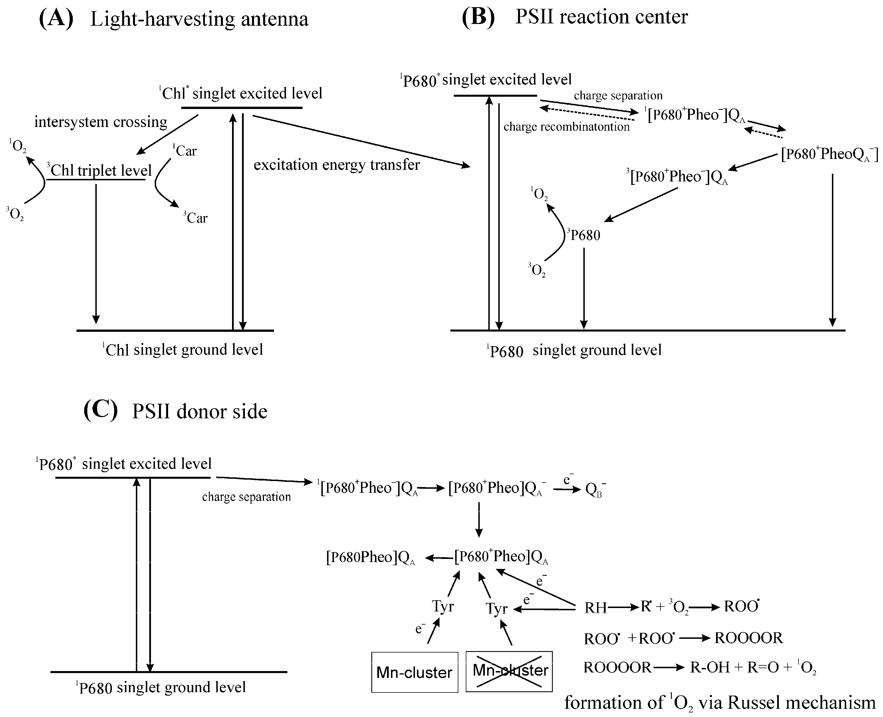 Plants 09 00091 g001