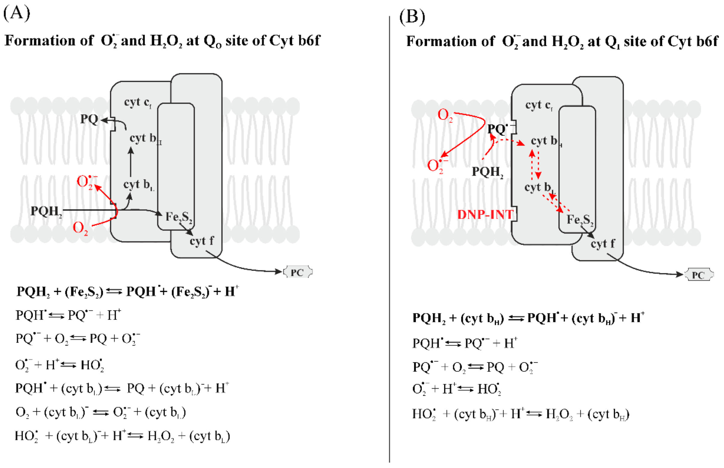 Plants 09 00091 g005
