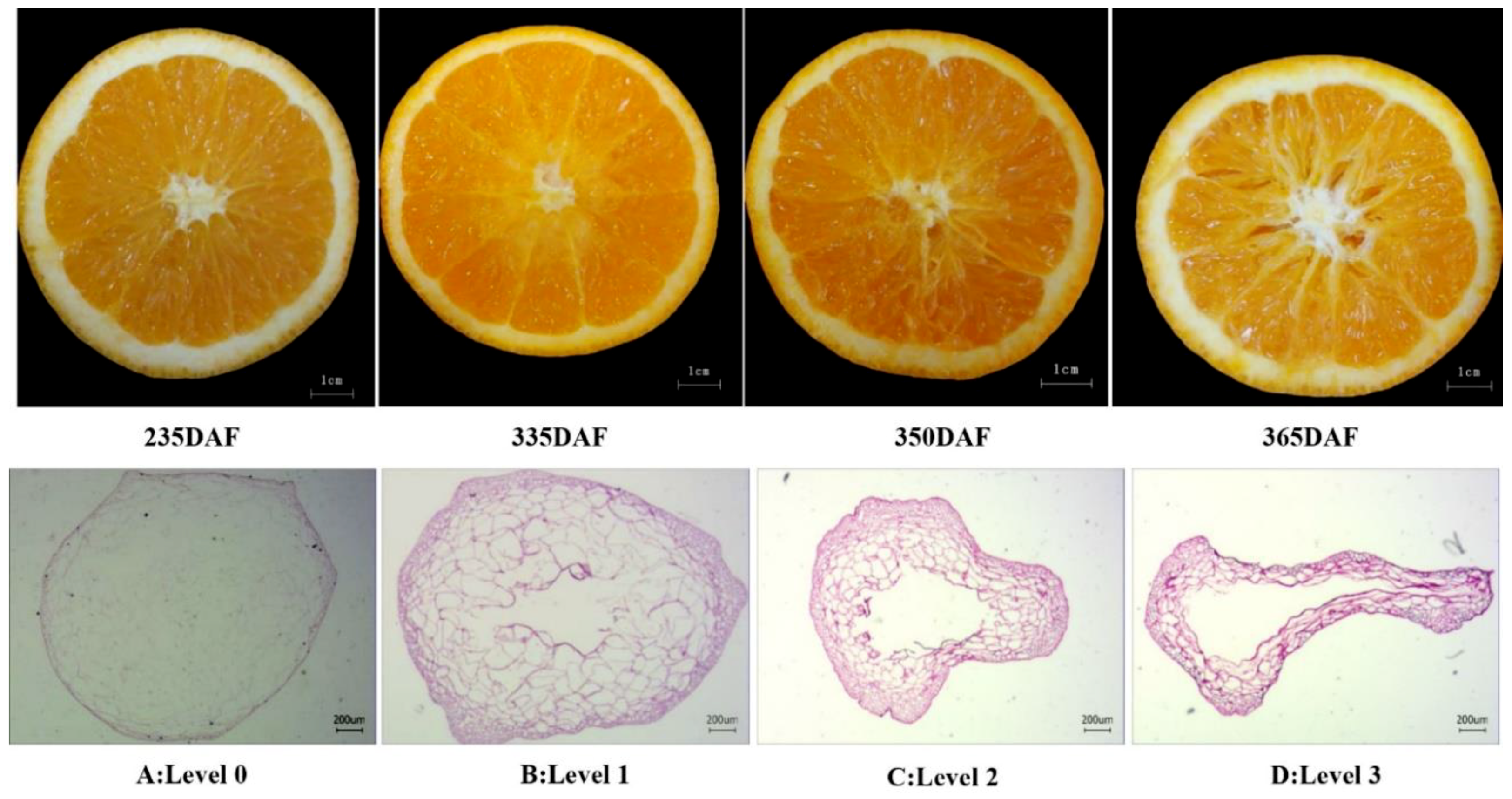 Plants 09 00095 g002 Plants 09 00095 g002
