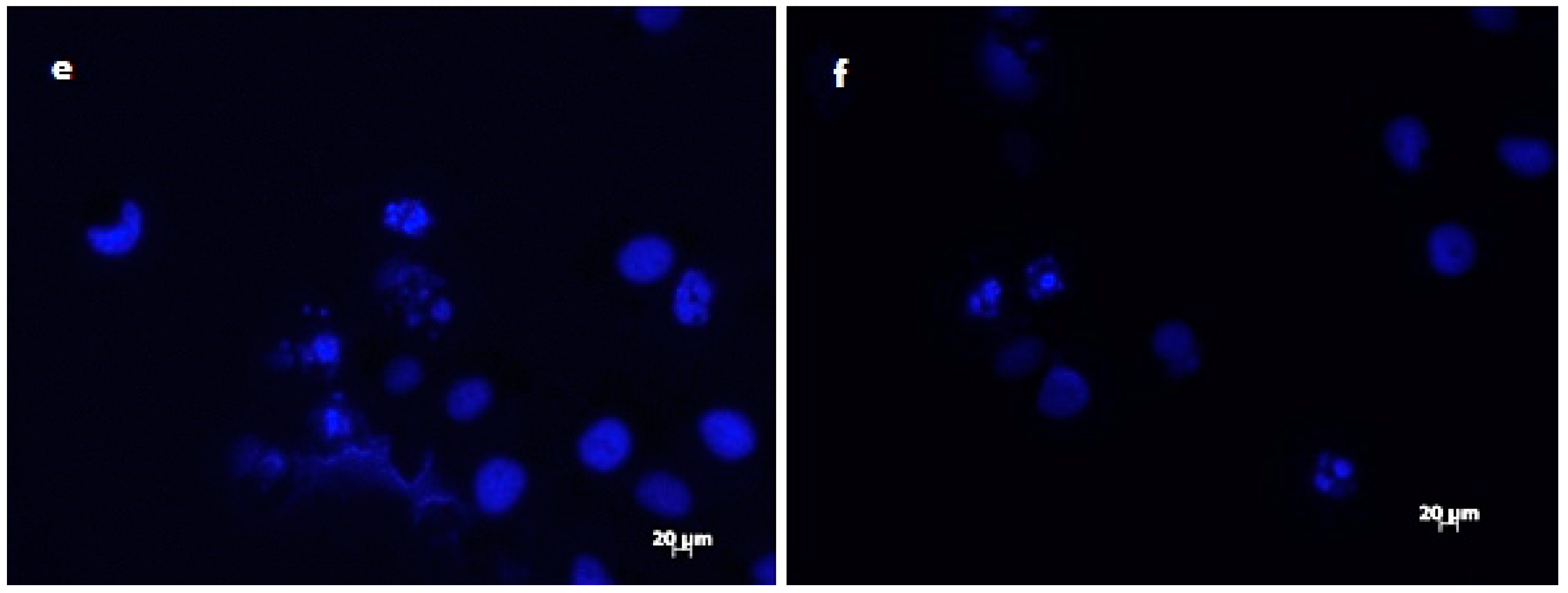 Plants 09 00098 g003b