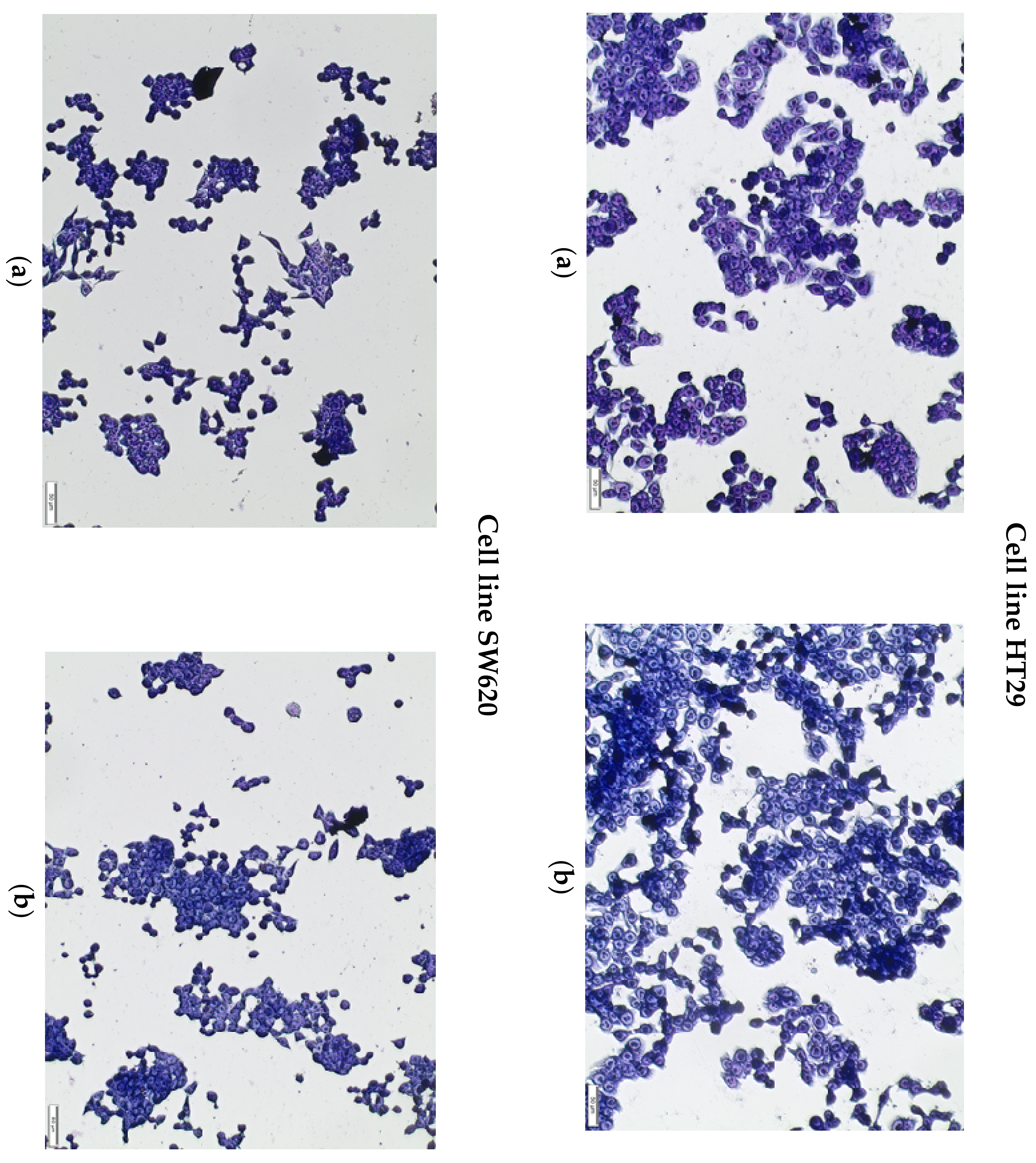 Plants 09 00103 g004 Plants 09 00103 g004