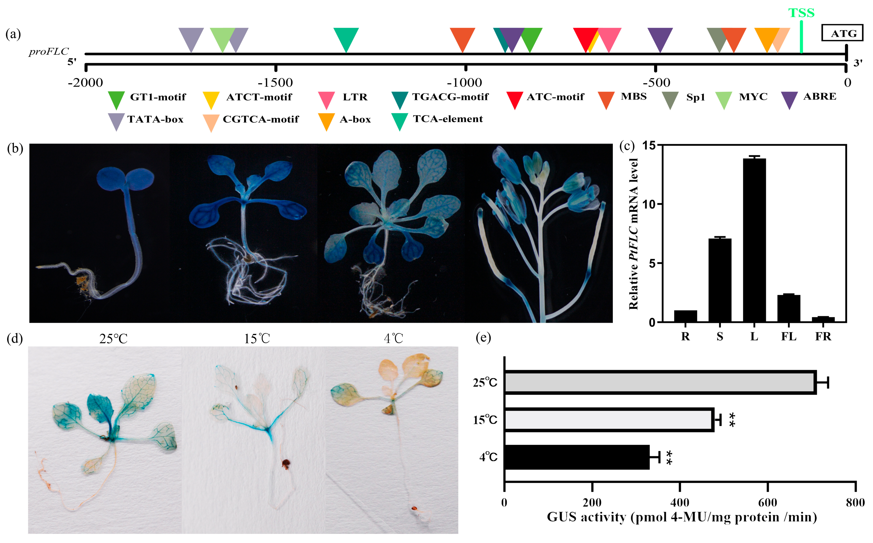 Plants 09 00114 g002 Plants 09 00114 g002