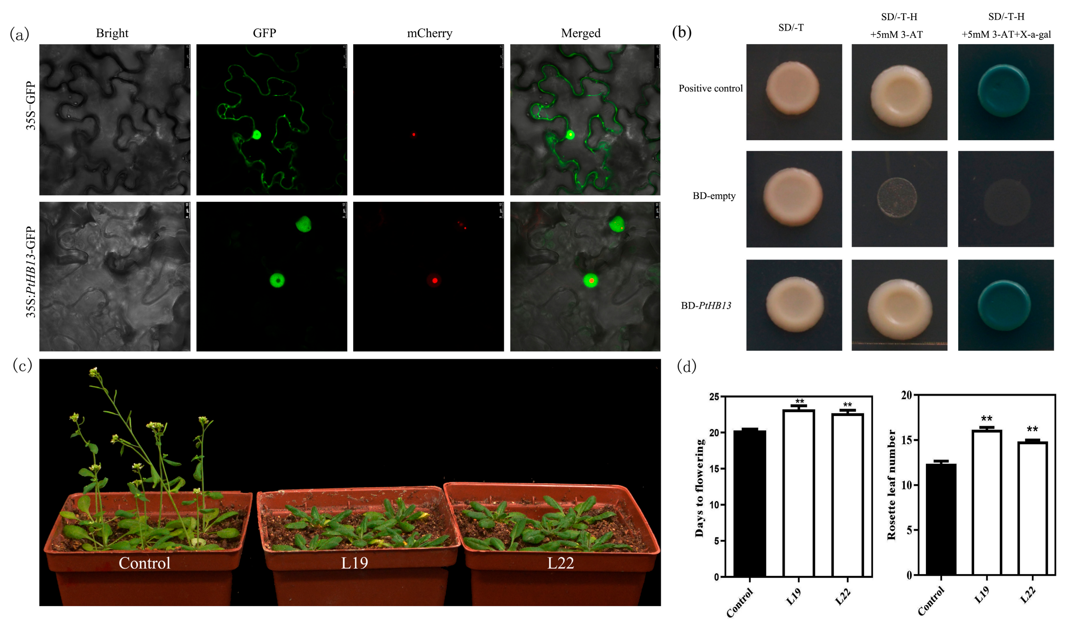 Plants 09 00114 g004 Plants 09 00114 g004
