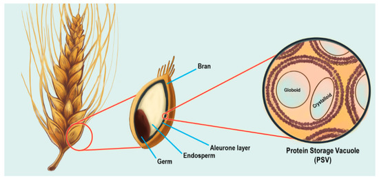 Plants 09 00115 g002