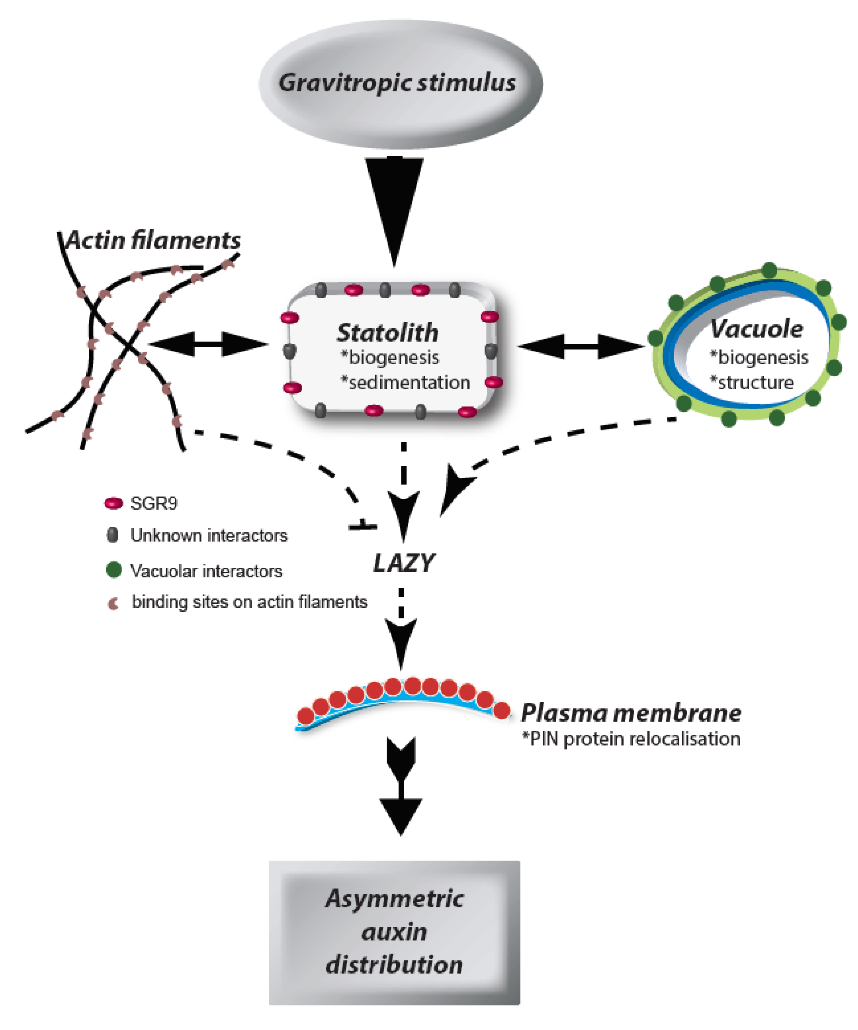 Plants 09 00121 g001 Plants 09 00121 g001