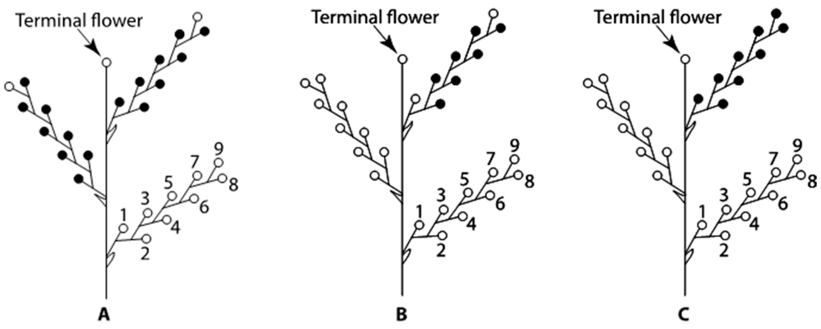 Plants 09 00127 g012 Plants 09 00127 g012