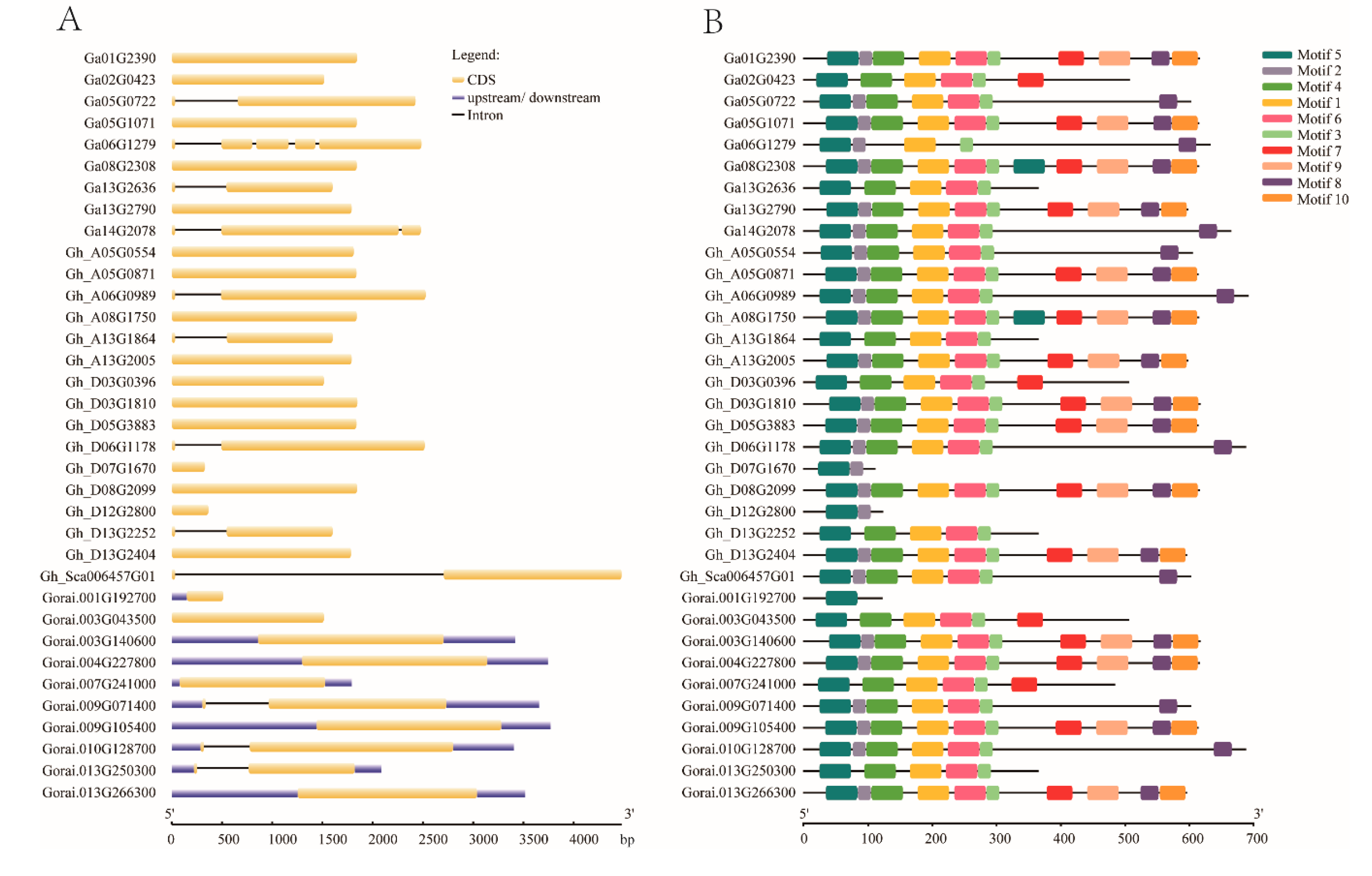 Plants 09 00128 g001