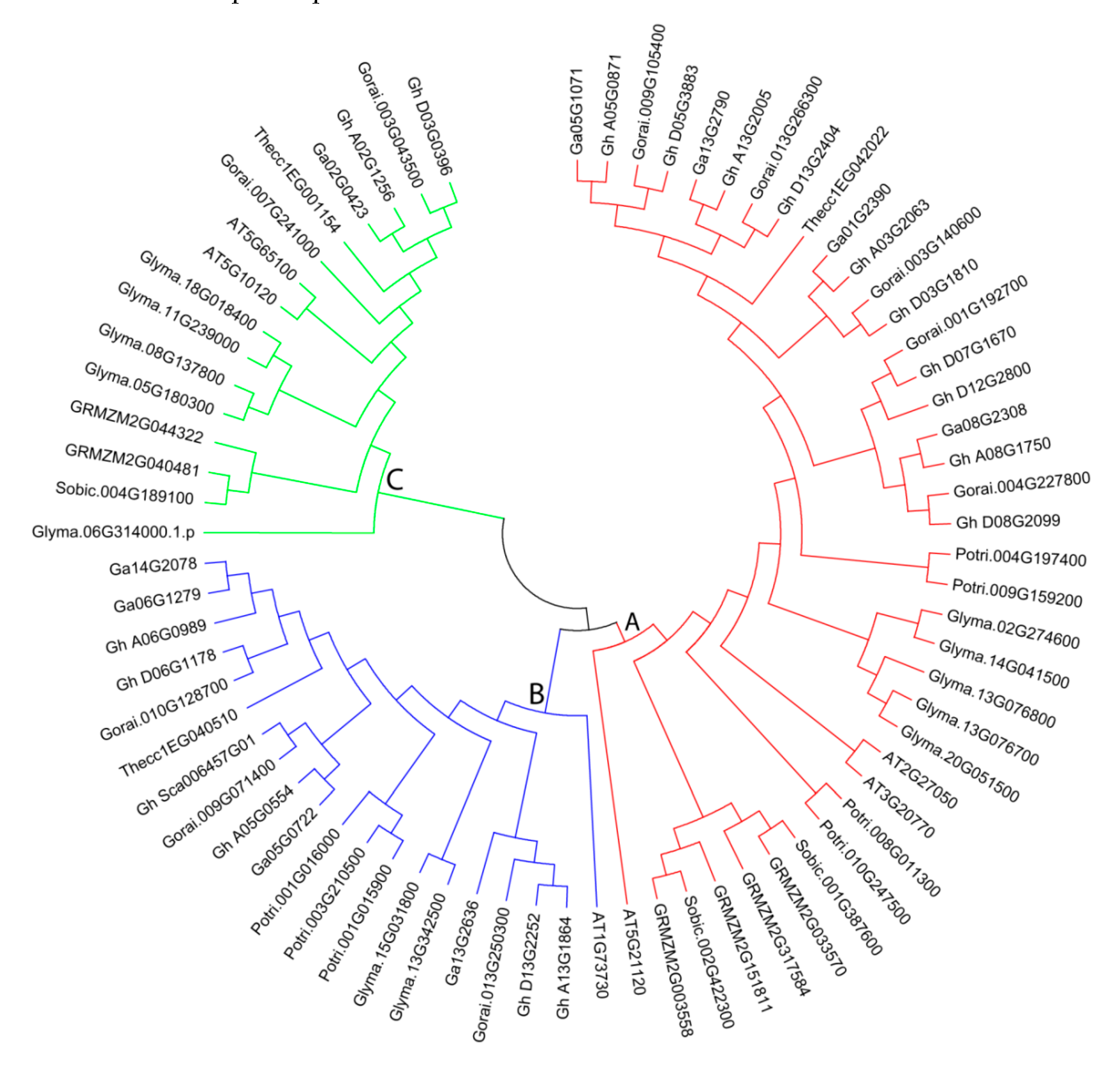 Plants 09 00128 g002