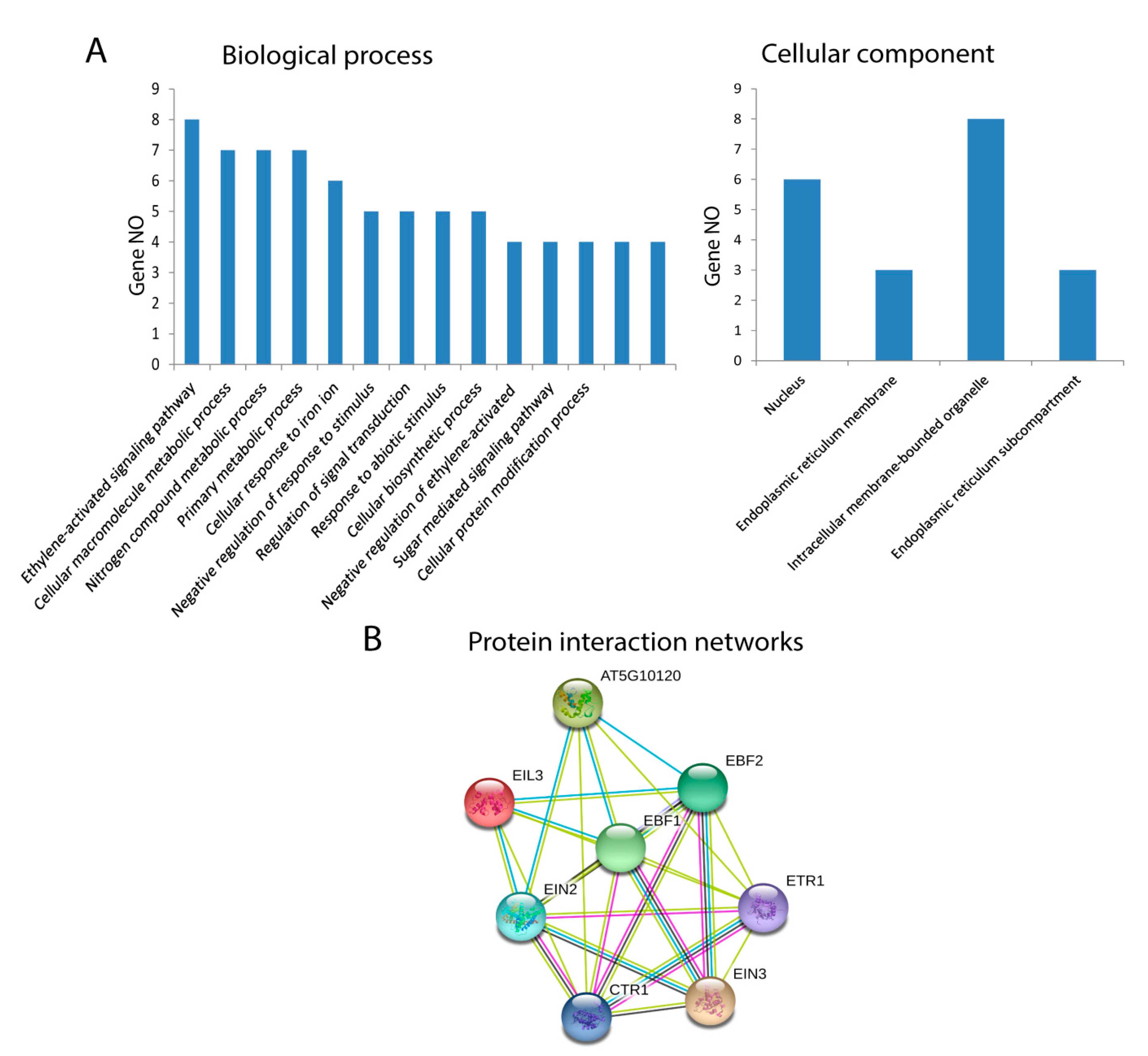 Plants 09 00128 g003