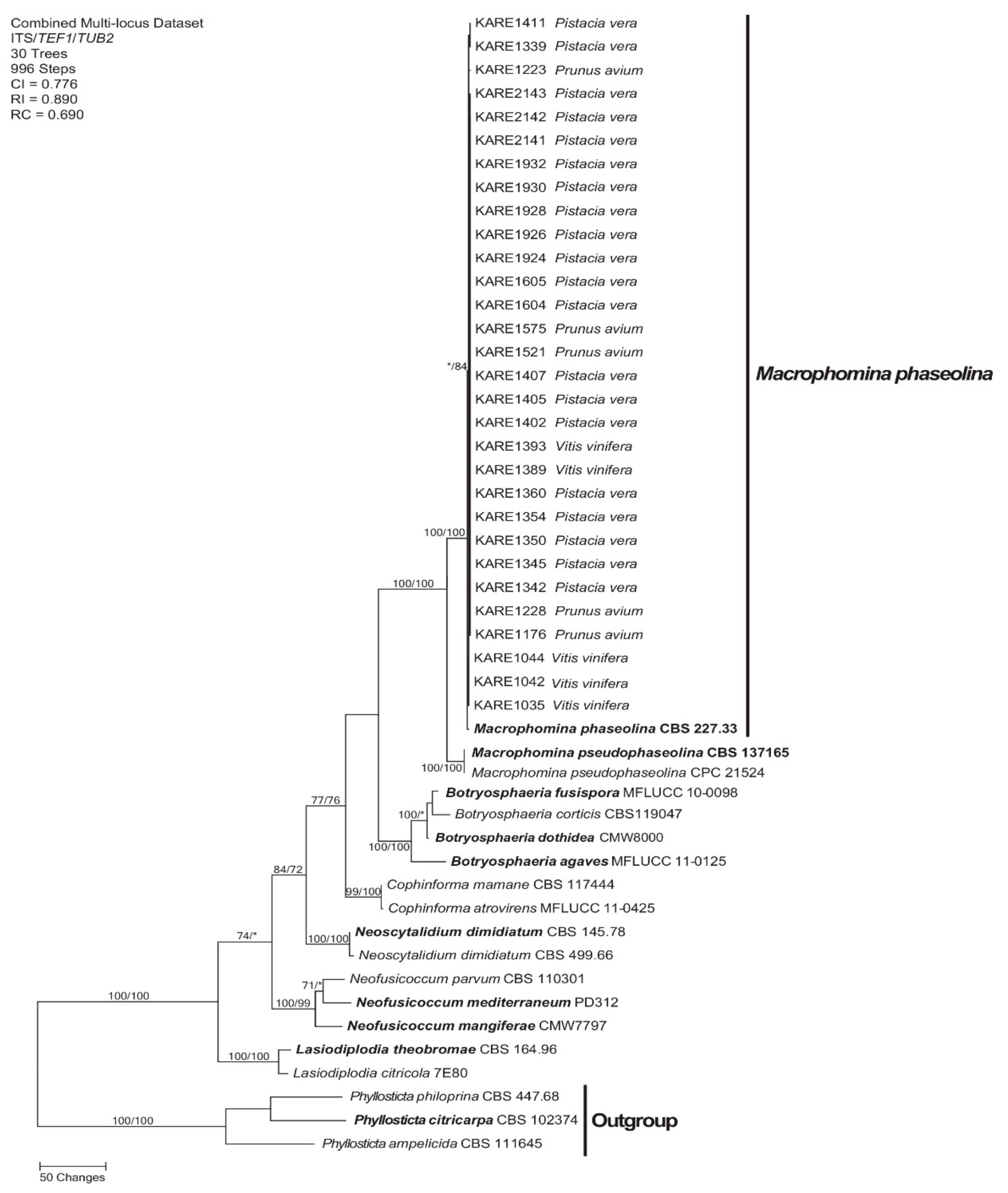 Plants 09 00134 g002