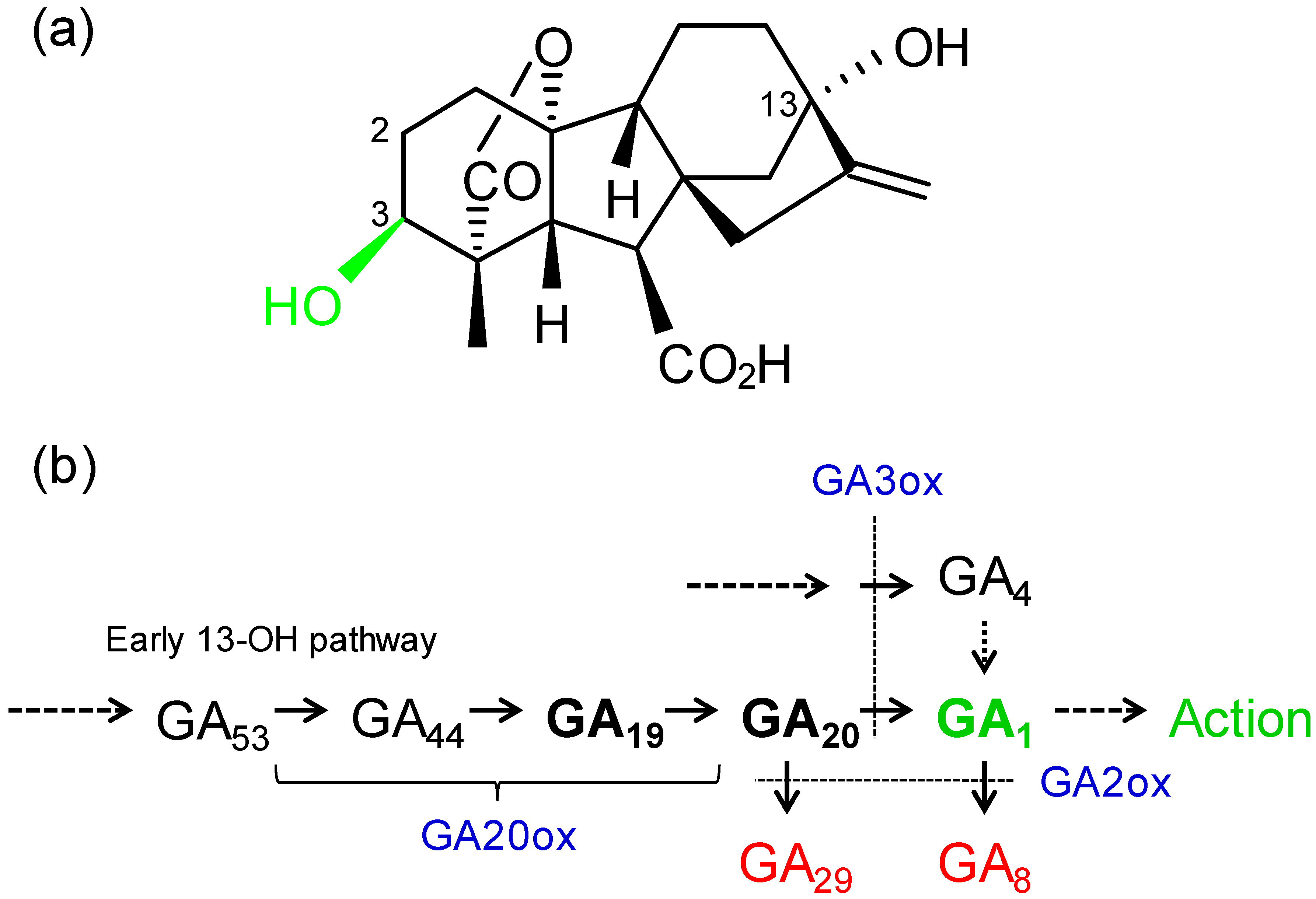Plants 09 00139 g001
