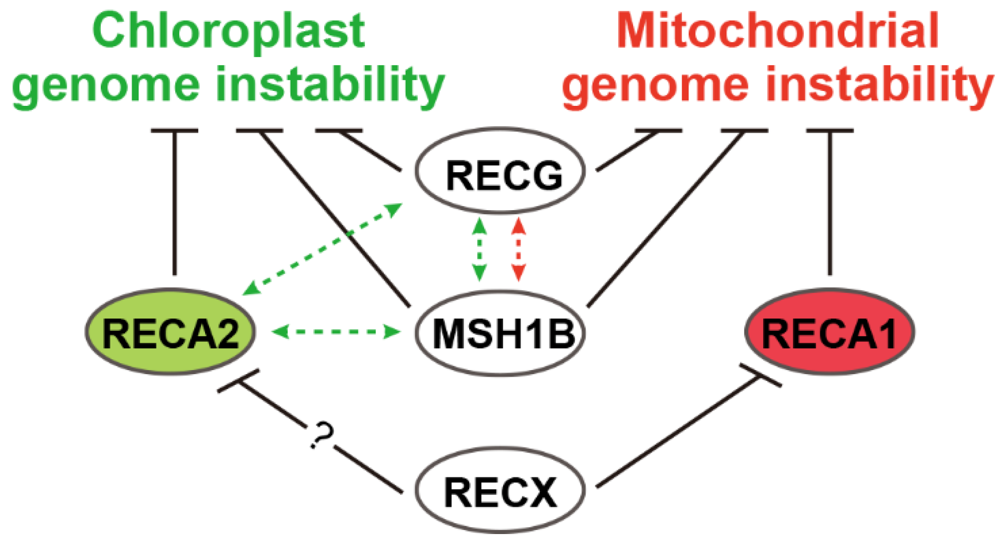 Plants 09 00145 g001