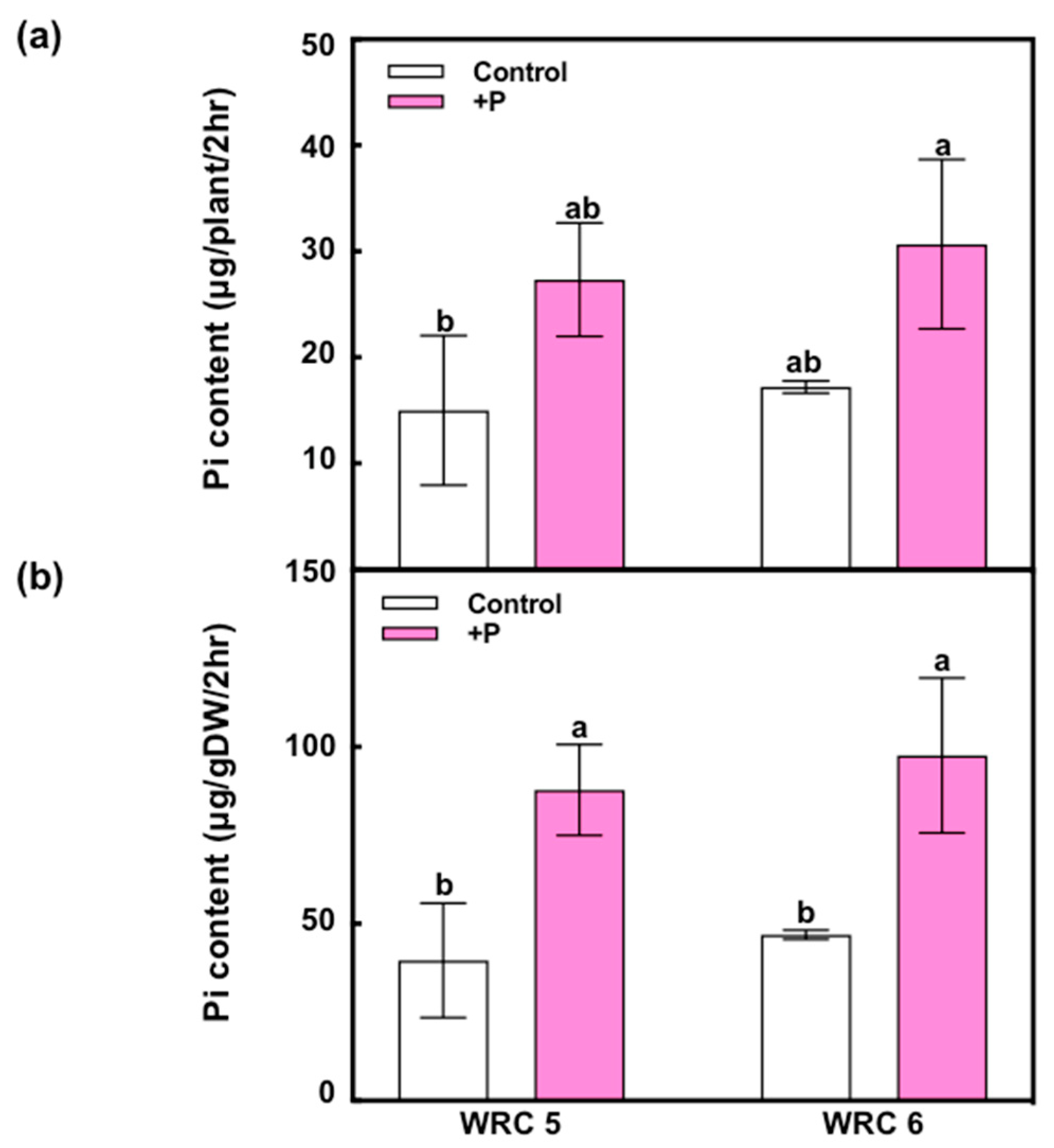 Plants 09 00146 g006