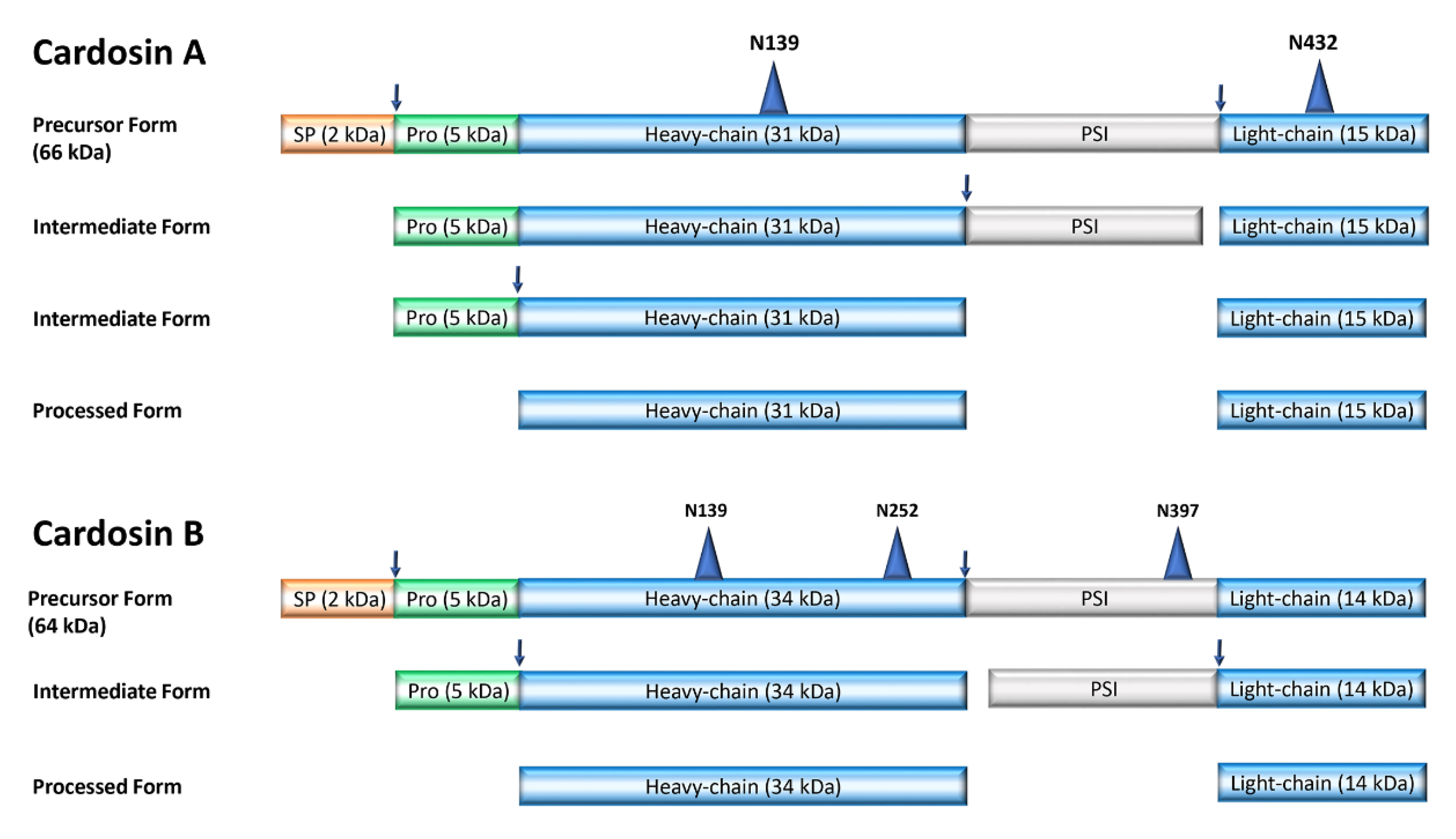 Plants 09 00147 g001